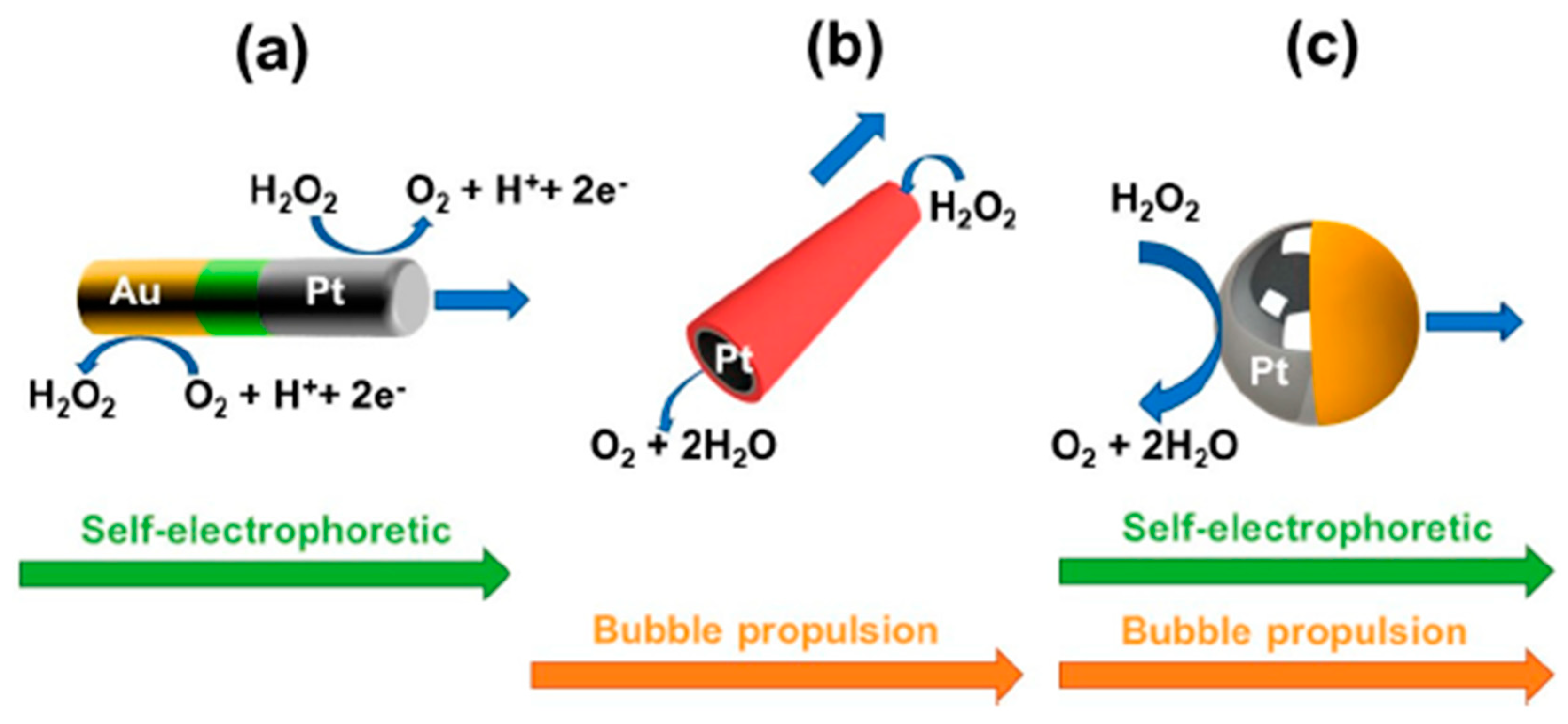 Magnetochemistry 05 00047 g010