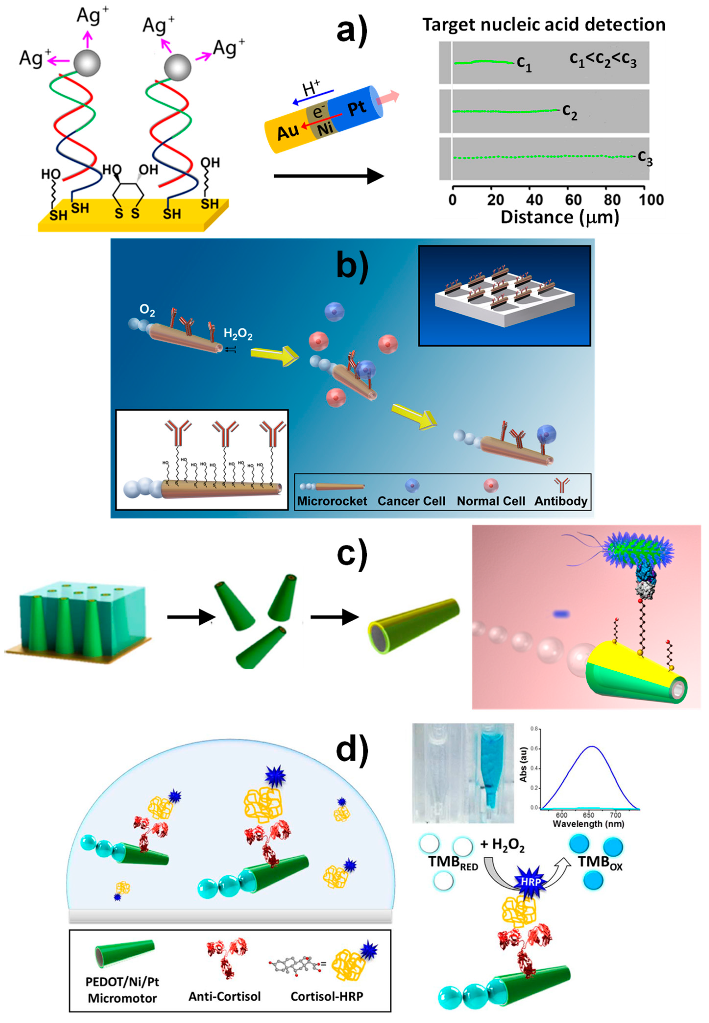 Magnetochemistry 05 00047 g011
