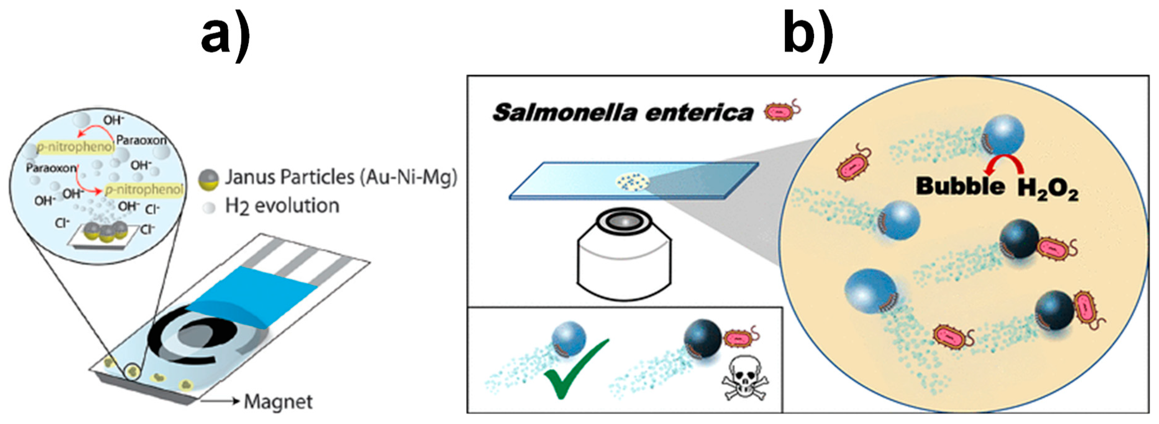Magnetochemistry 05 00047 g012
