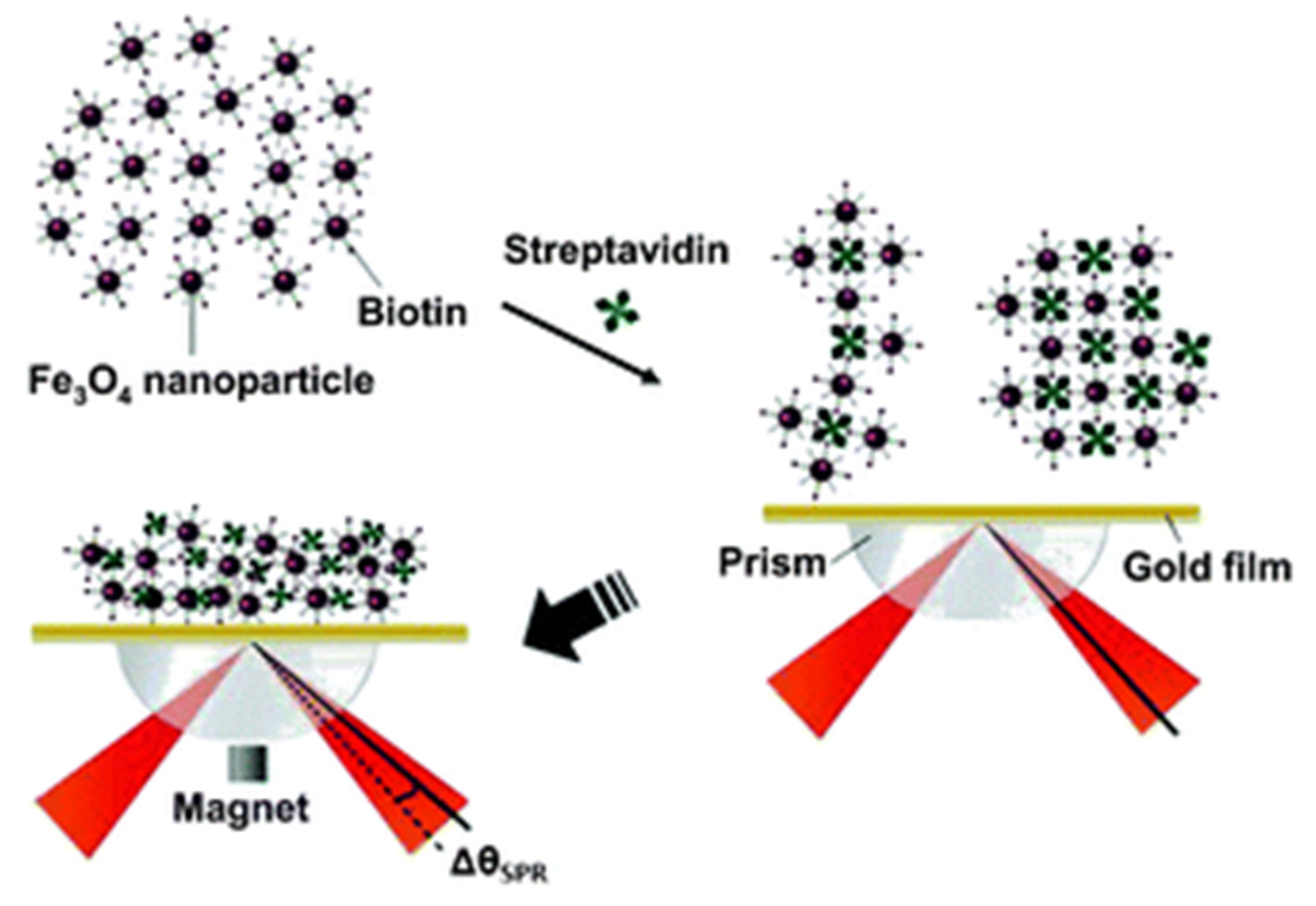 Magnetochemistry 05 00059 g002
