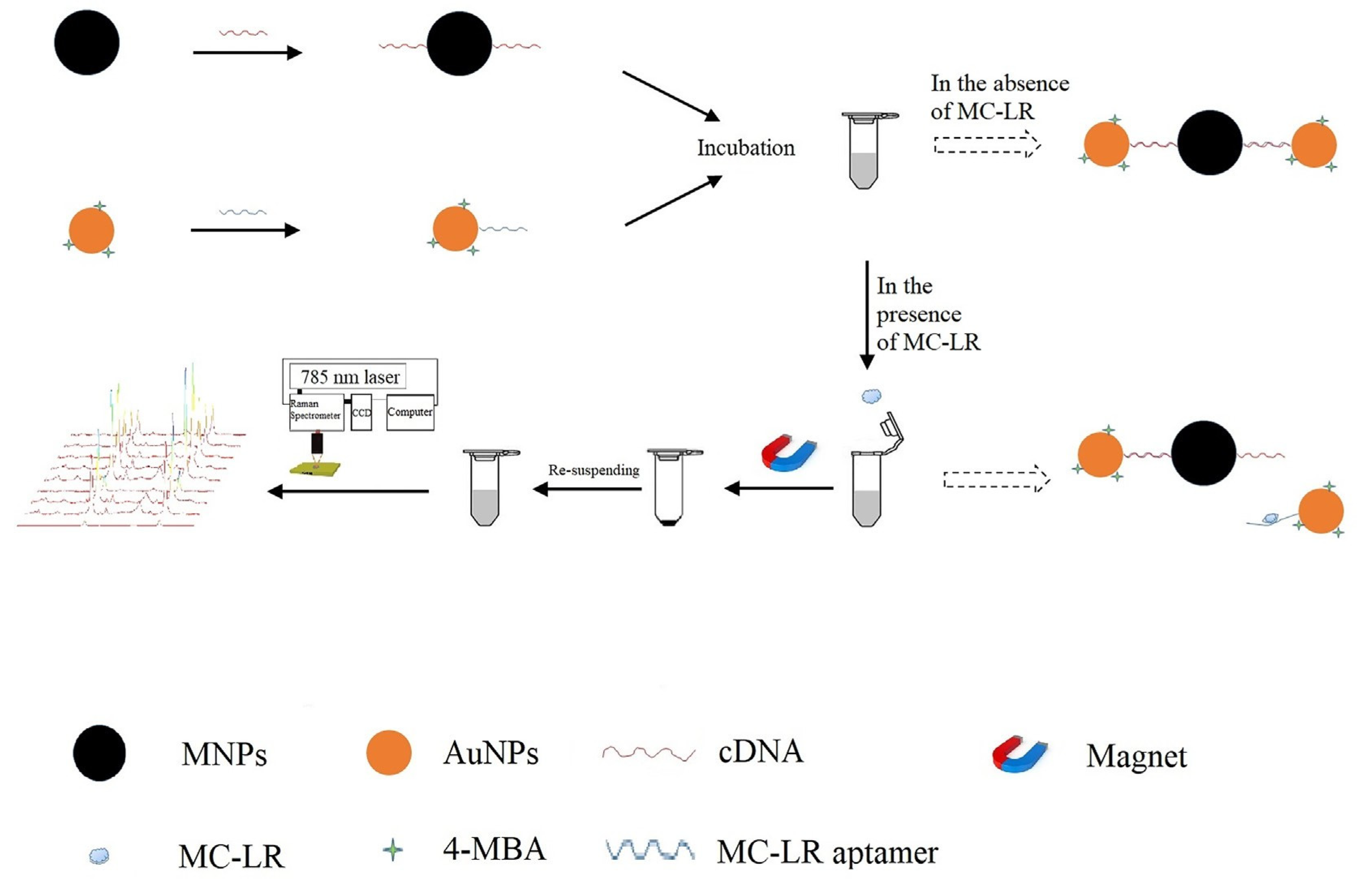 Magnetochemistry 05 00059 g003