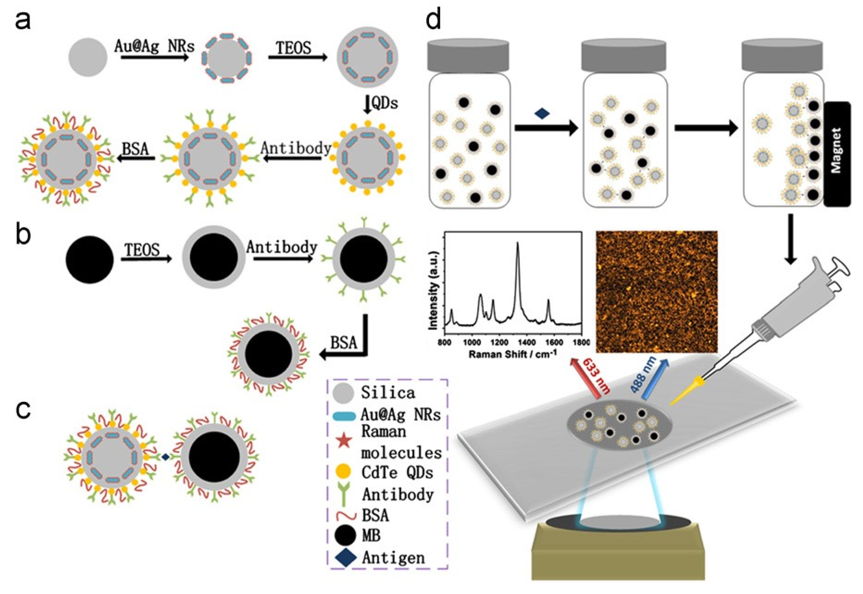 Magnetochemistry 05 00059 g004