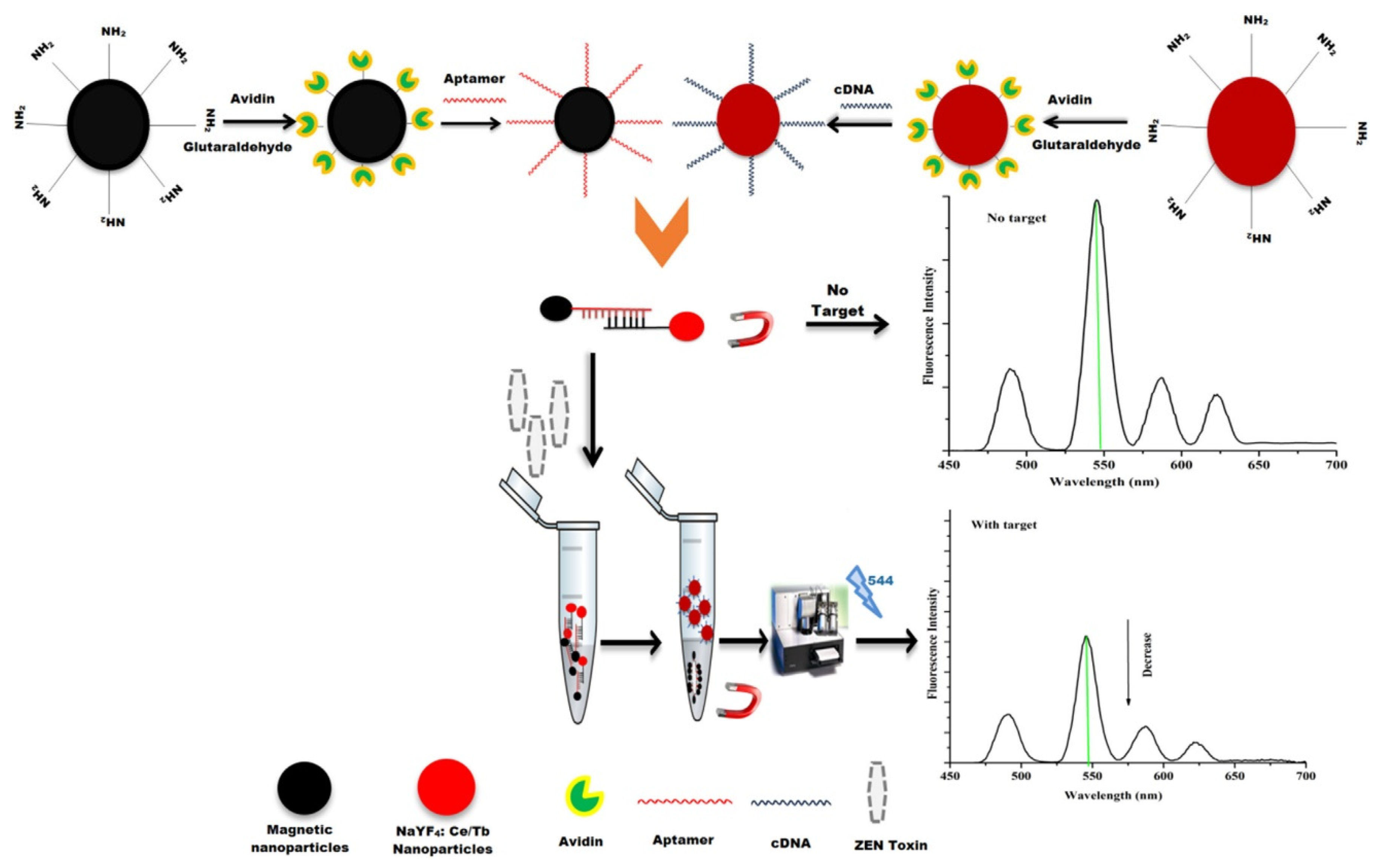 Magnetochemistry 05 00059 g005