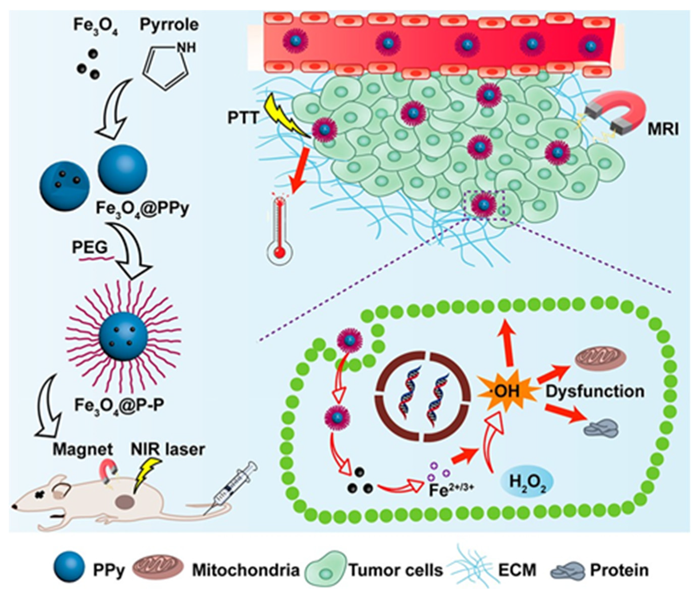 Magnetochemistry 05 00059 g006