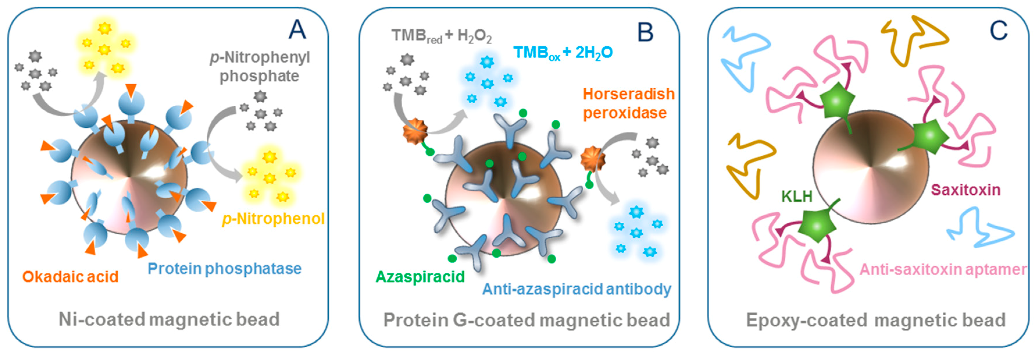Magnetochemistry 05 00062 g001