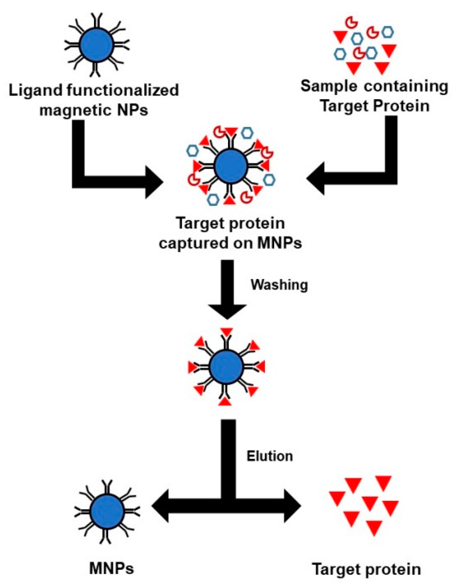 Magnetochemistry 05 00063 g005