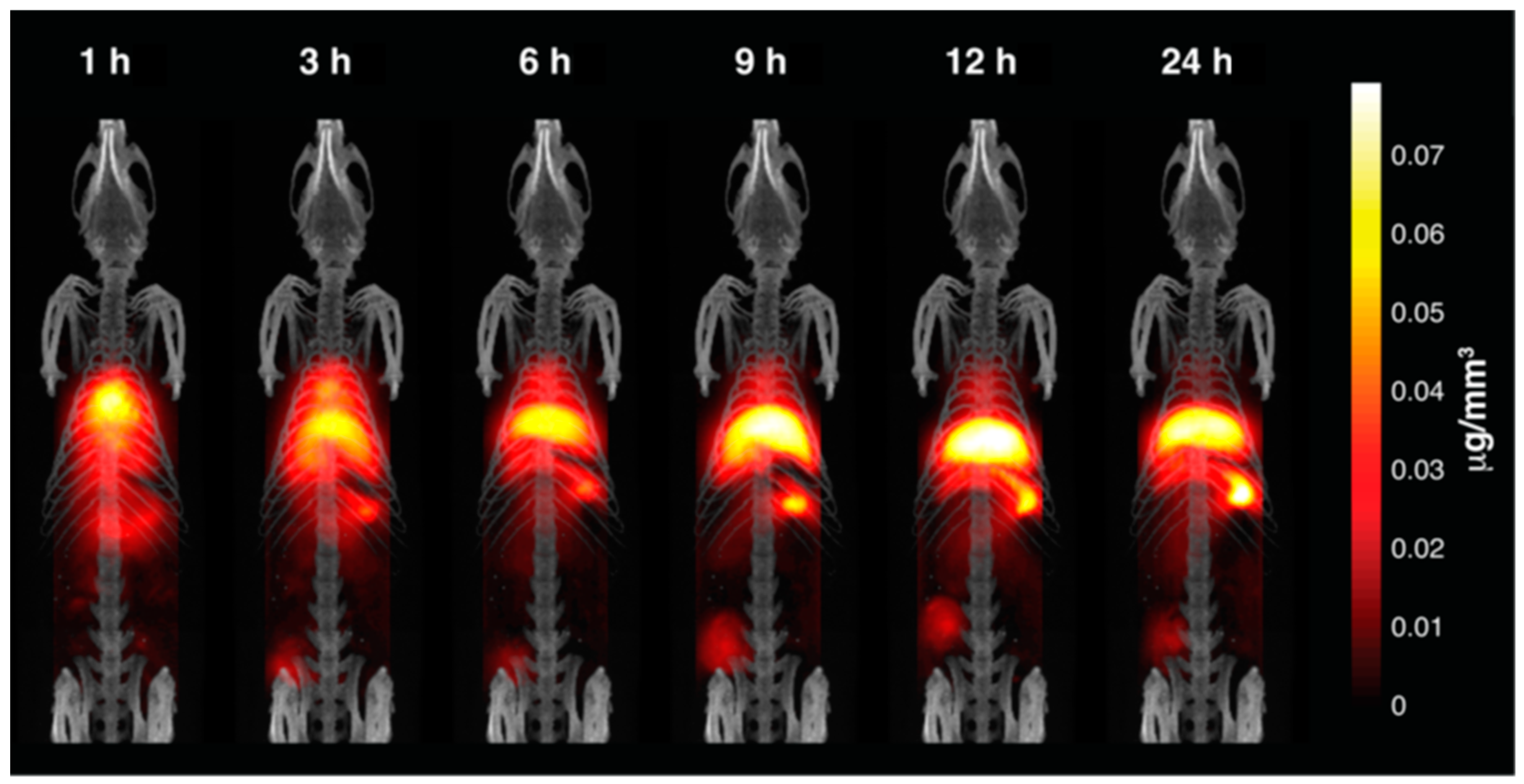 Magnetochemistry 06 00003 g003