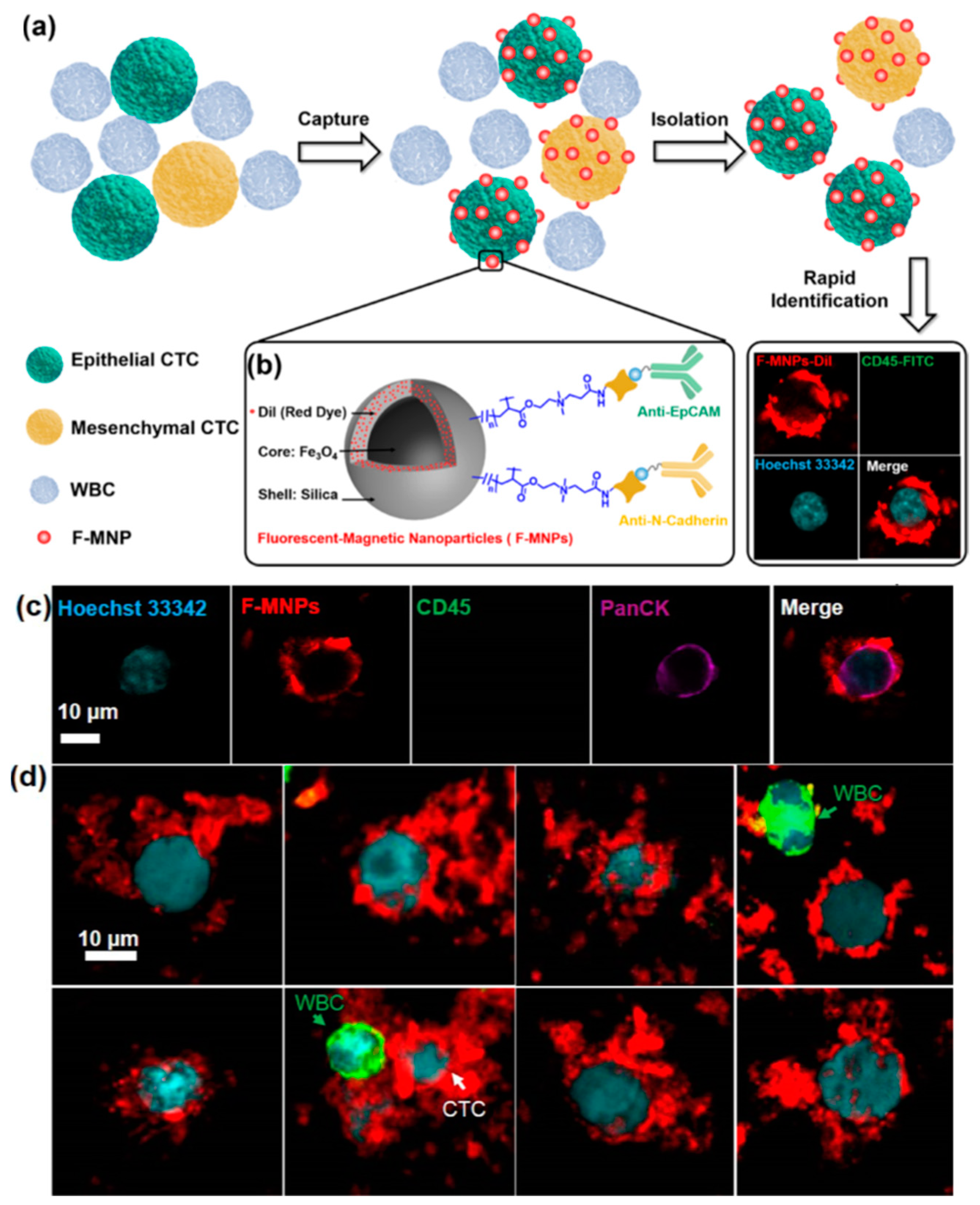 Magnetochemistry 06 00003 g005