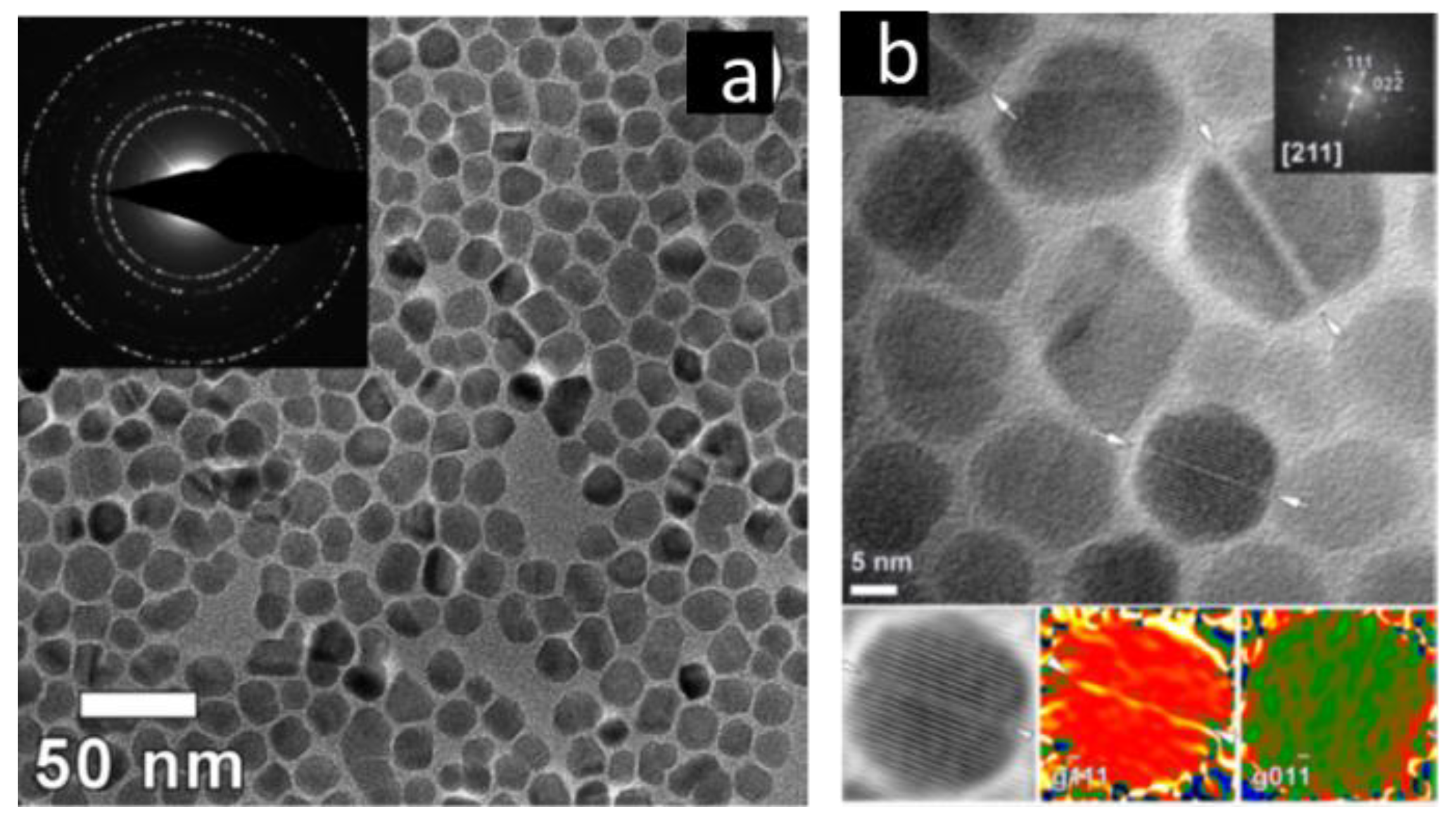 Magnetochemistry 06 00004 g008