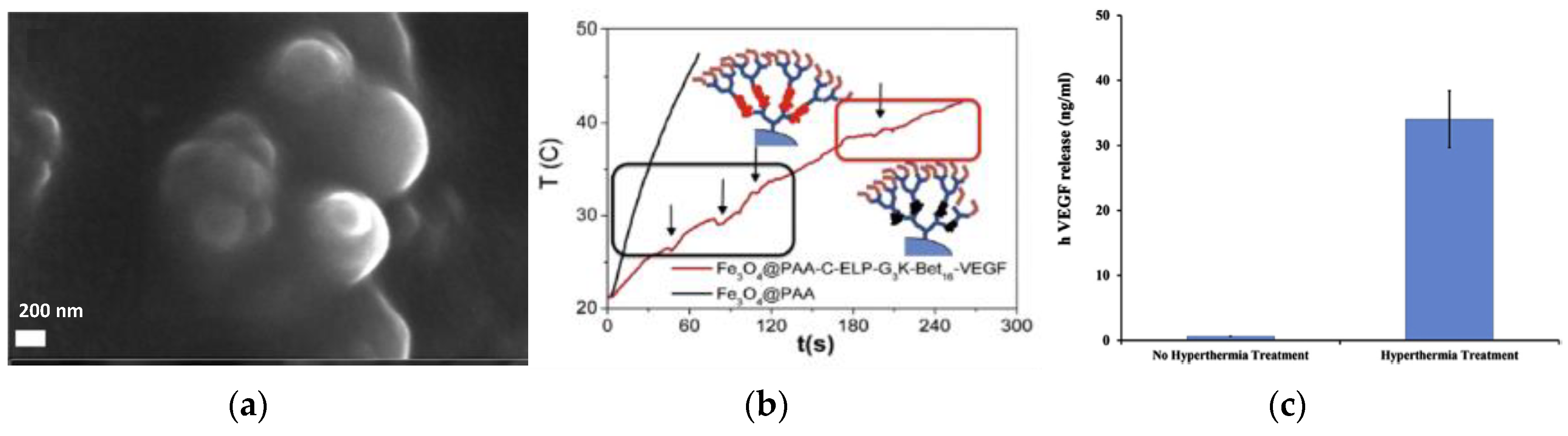 Magnetochemistry 06 00004 g014