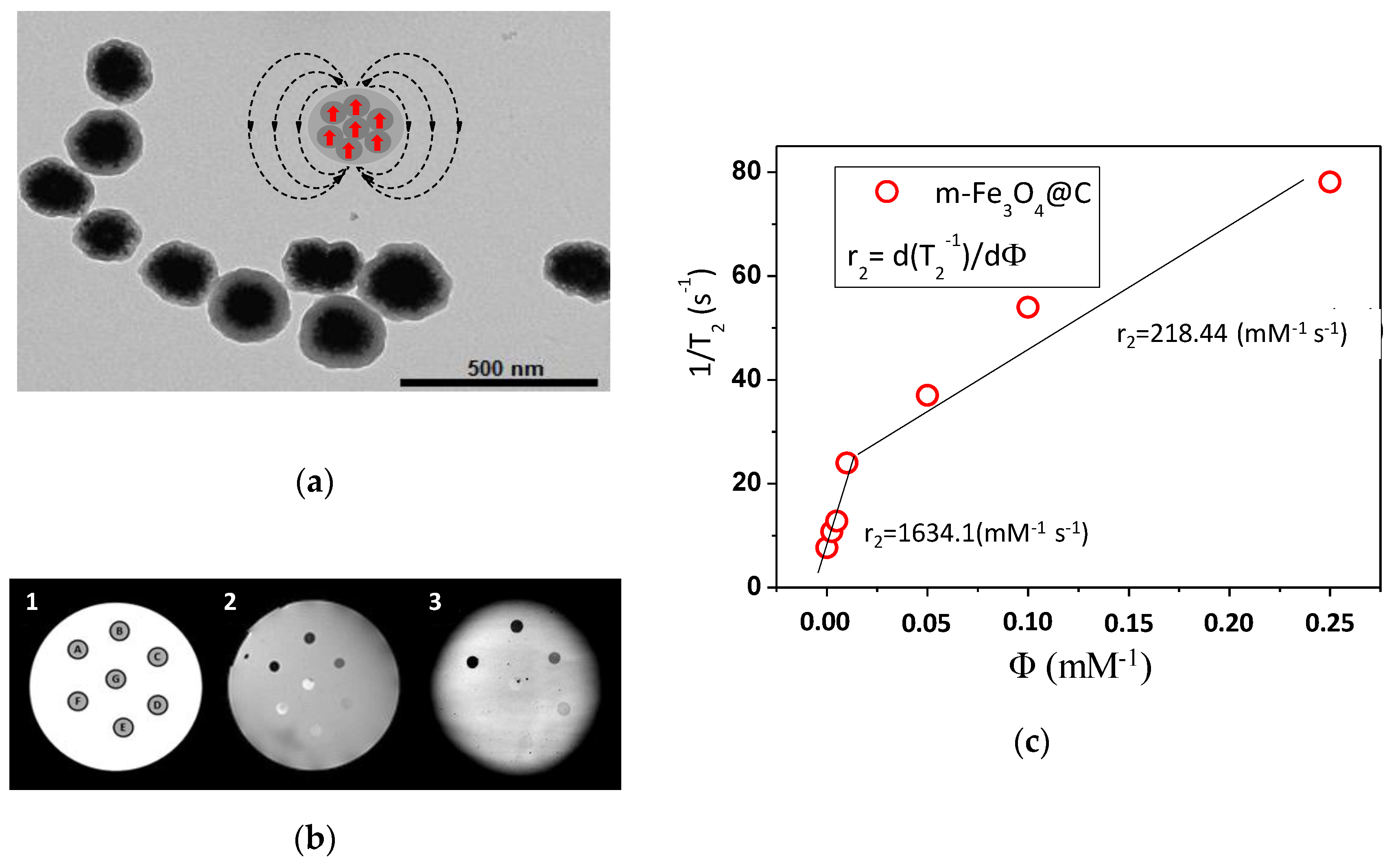 Magnetochemistry 06 00004 g015