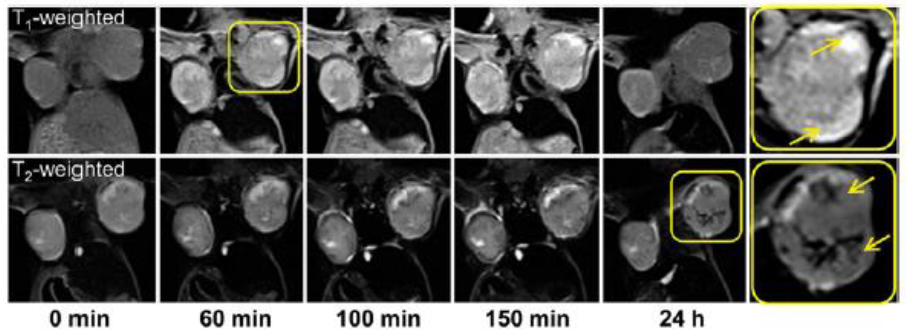 Magnetochemistry 06 00004 g017