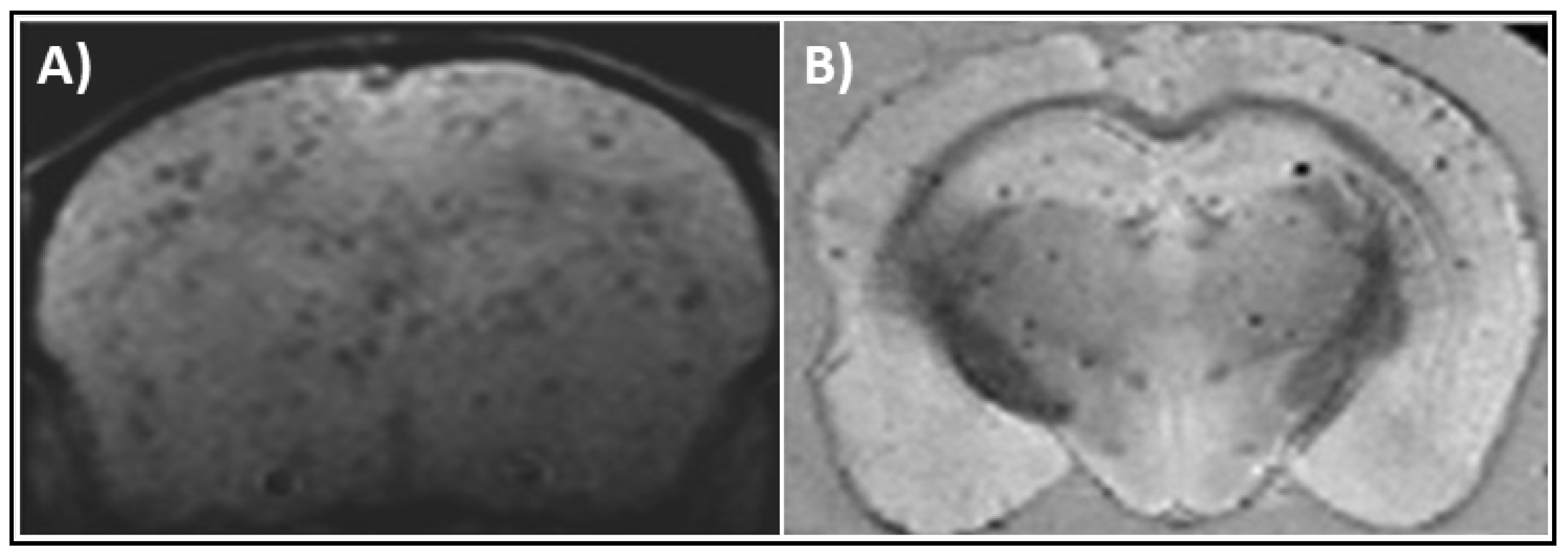 Magnetochemistry 06 00013 g002