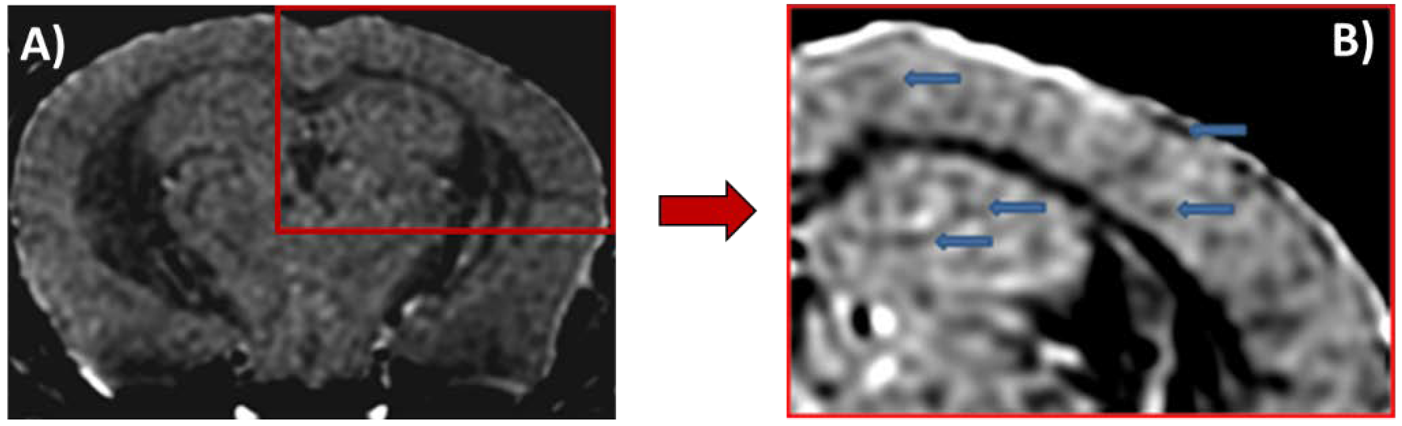 Magnetochemistry 06 00013 g003