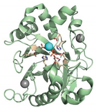 Magnetochemistry 06 00025 i011