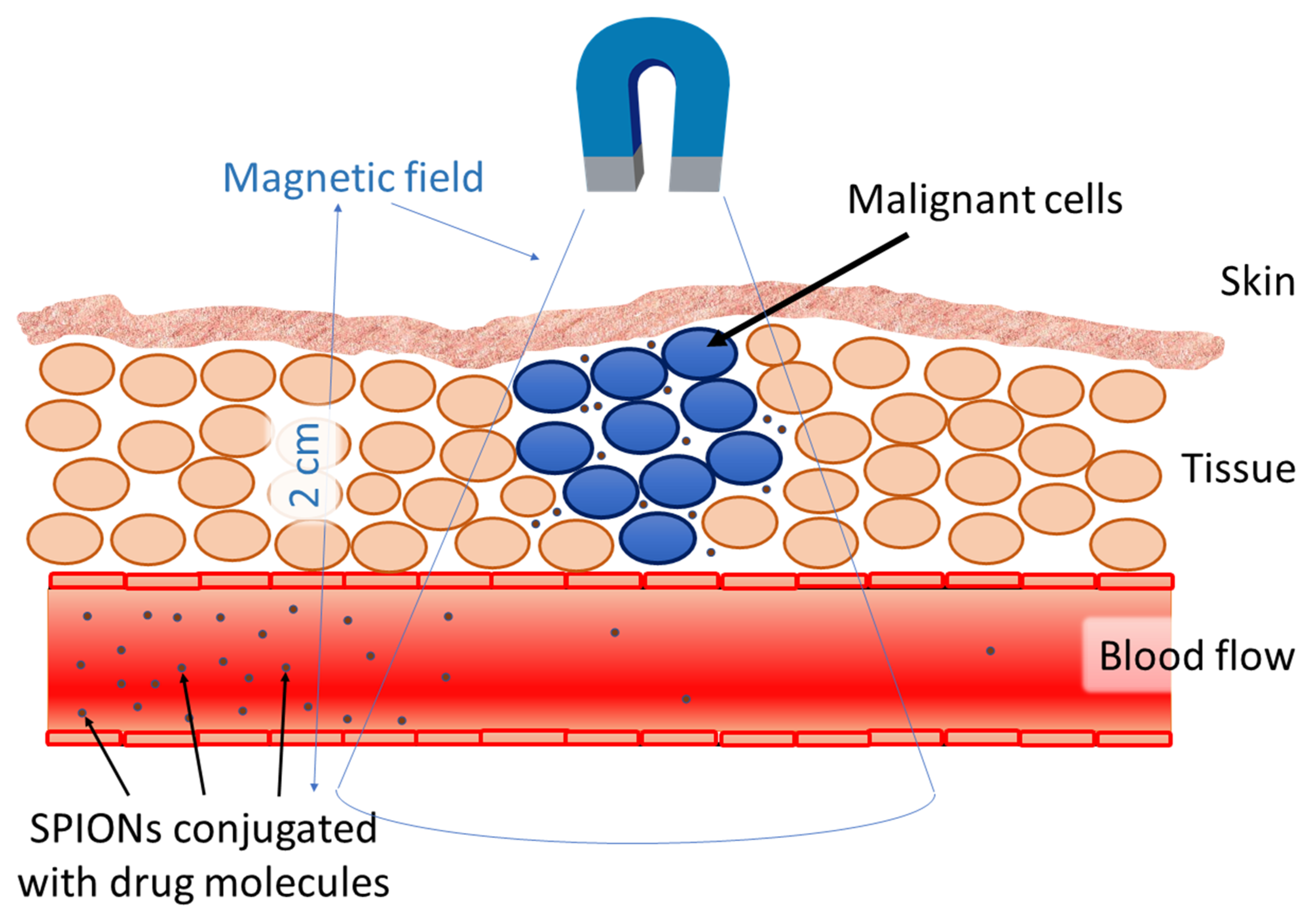 Magnetochemistry 06 00030 g003