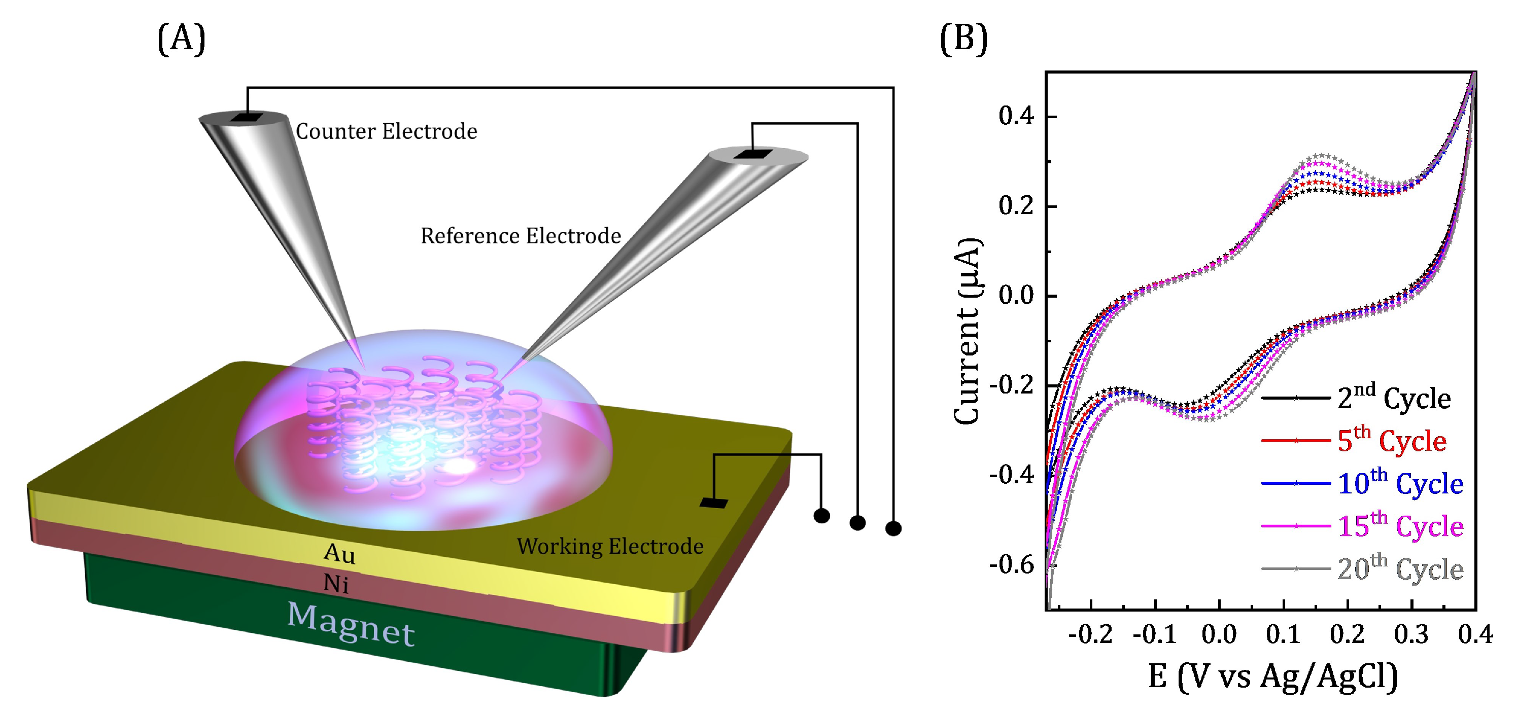 Magnetochemistry 06 00037 g002