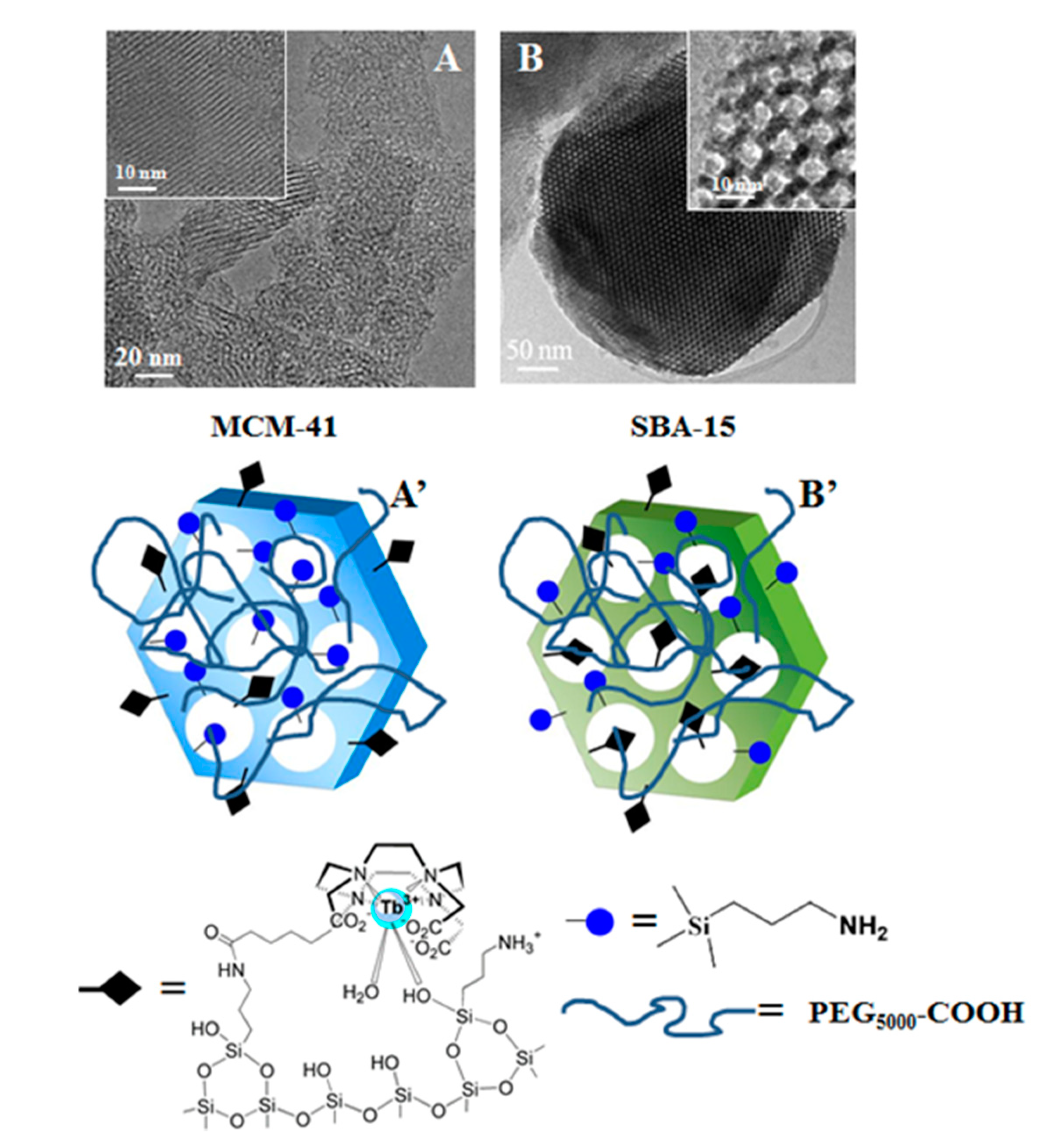 Magnetochemistry 06 00038 g001