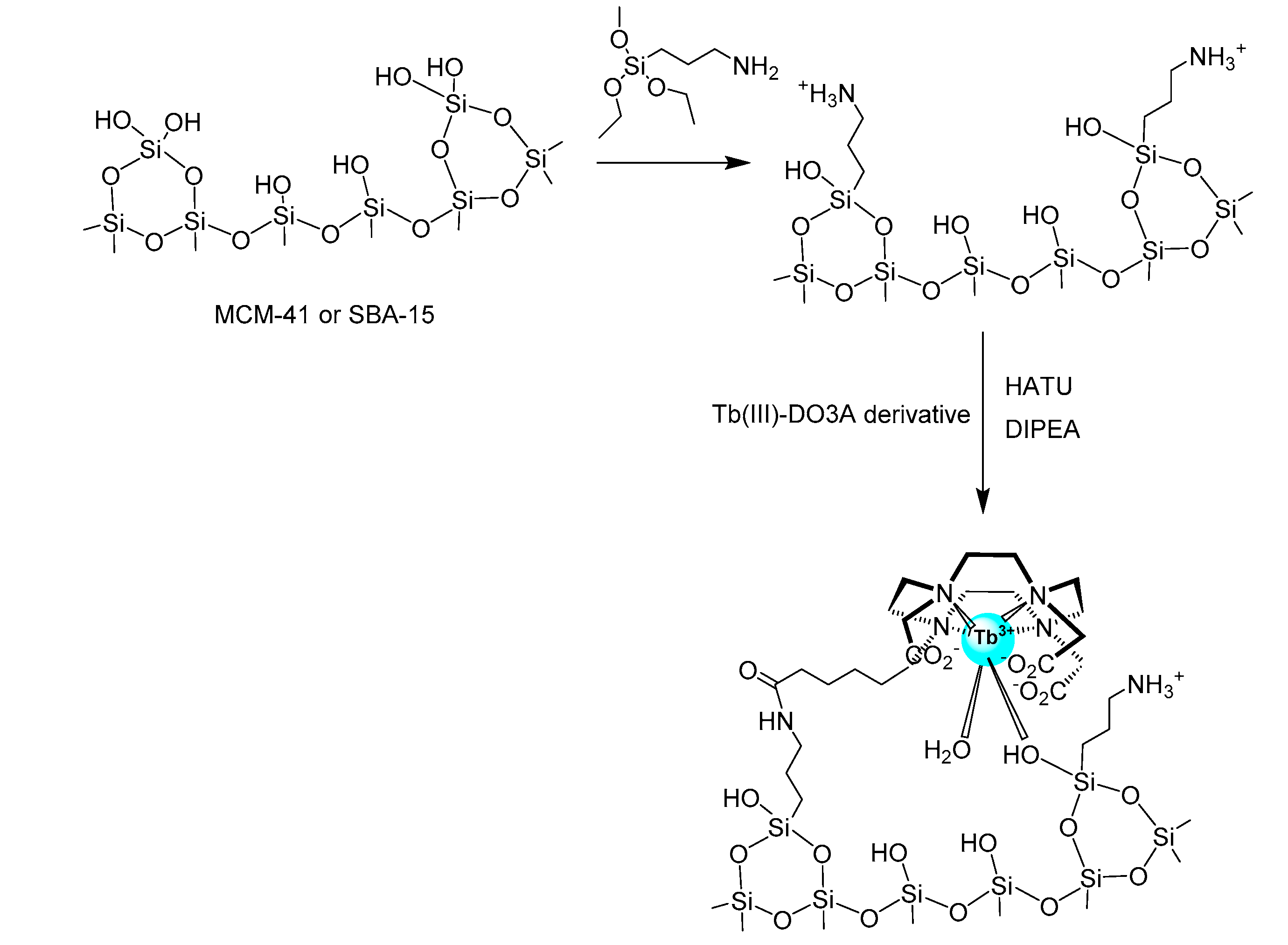 Magnetochemistry 06 00038 sch001