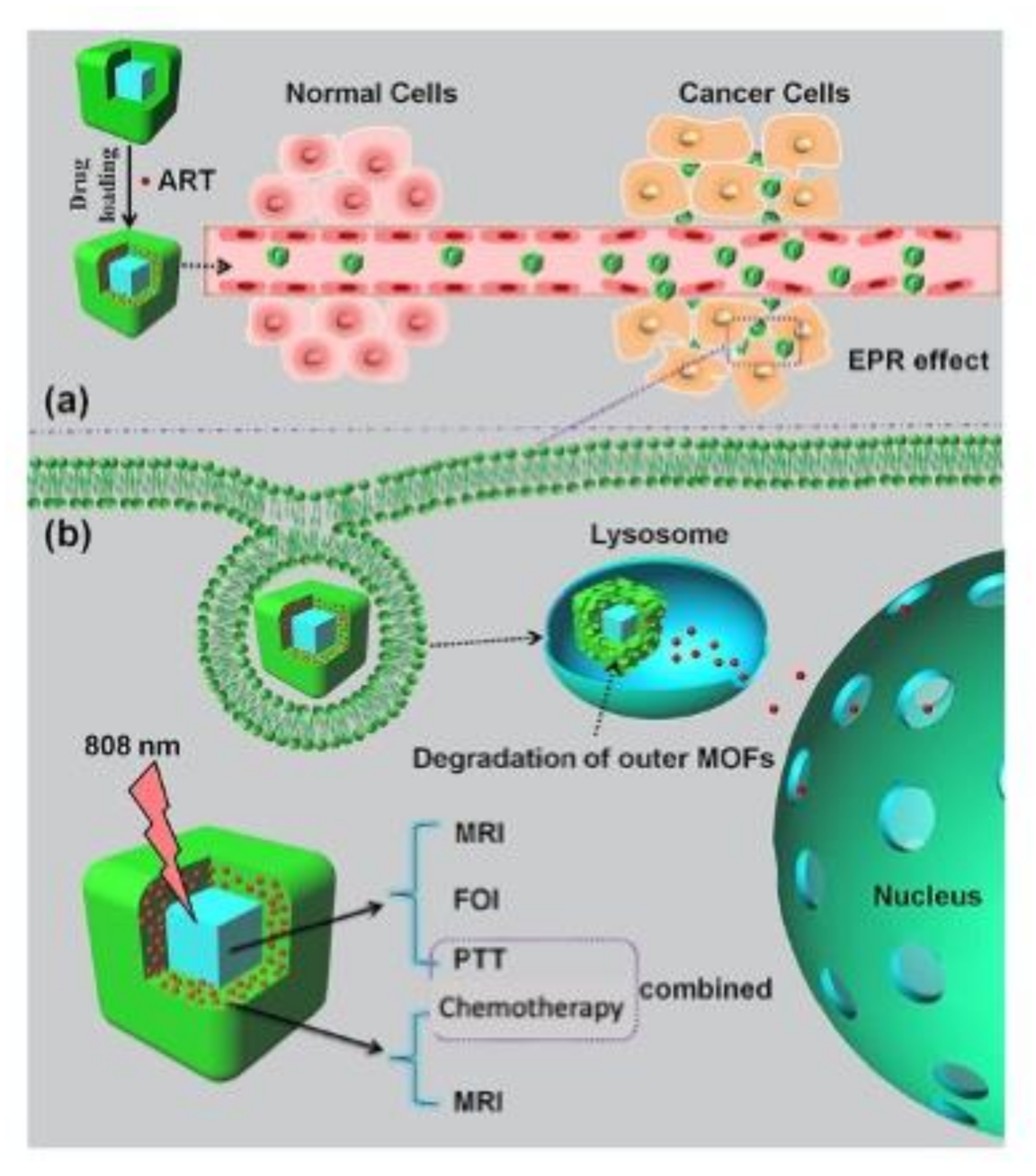 Magnetochemistry 06 00039 g003