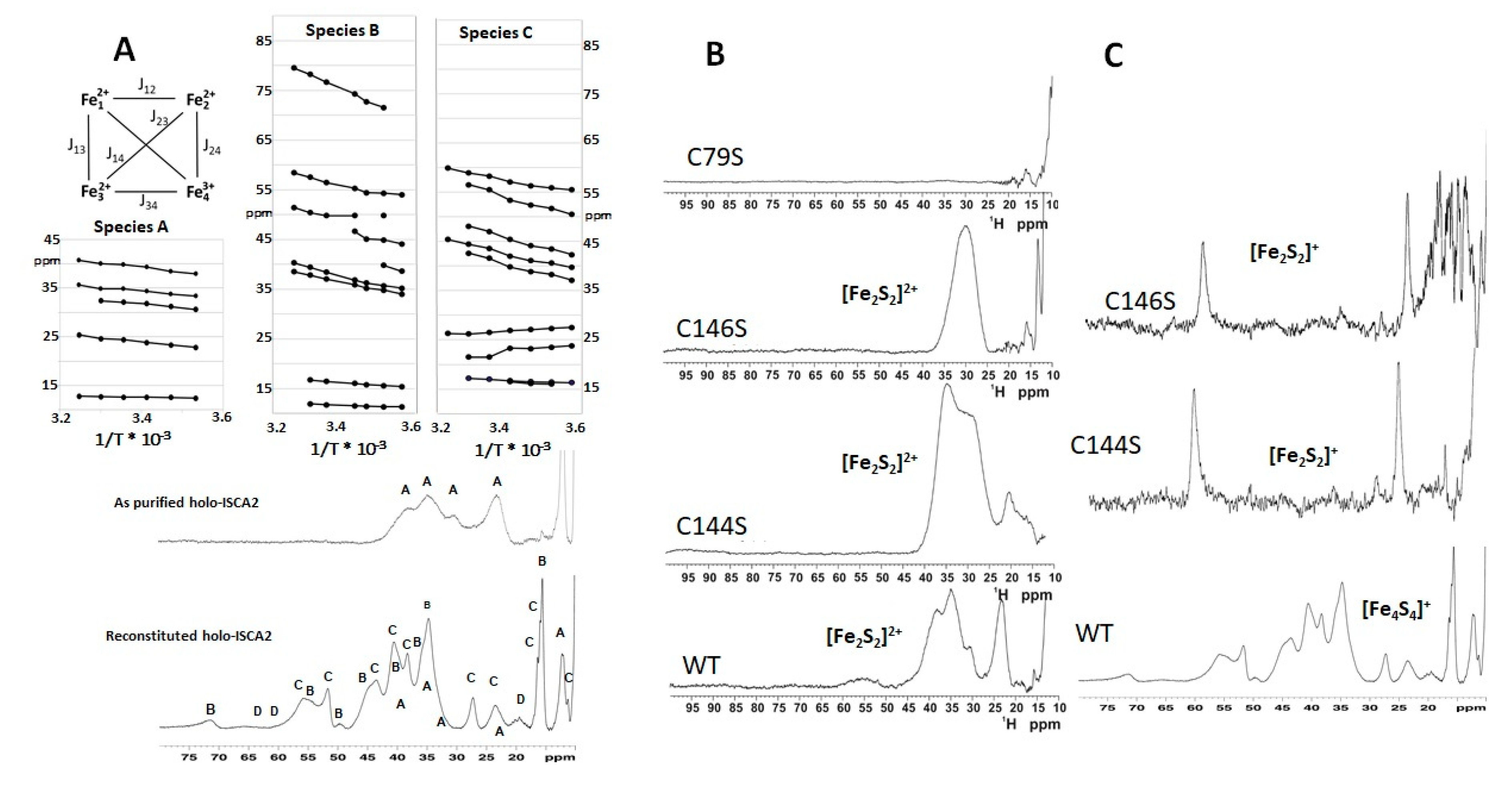Magnetochemistry 06 00046 g001 Magnetochemistry 06 00046 g001