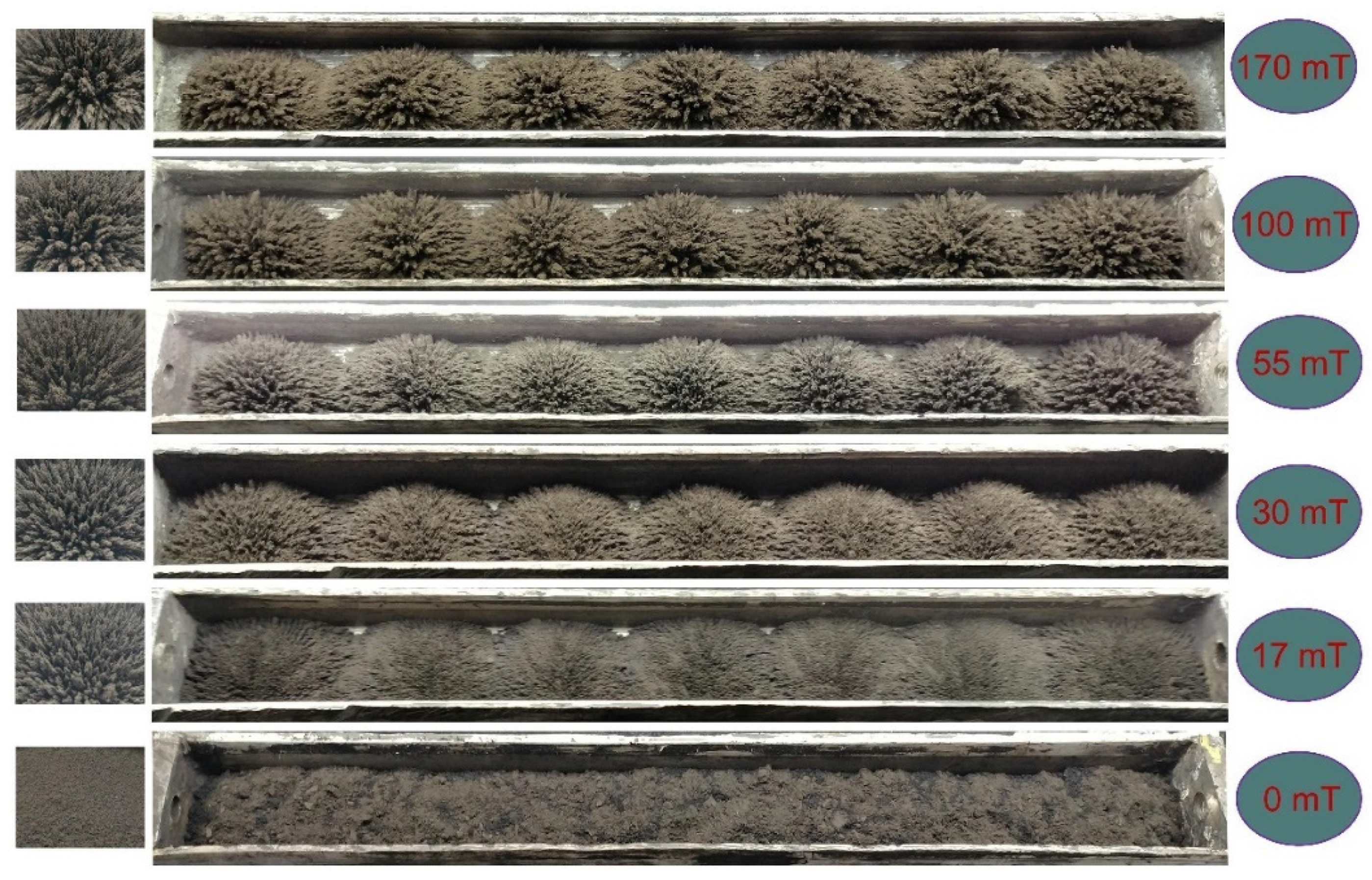 Magnetochemistry 06 00049 g007