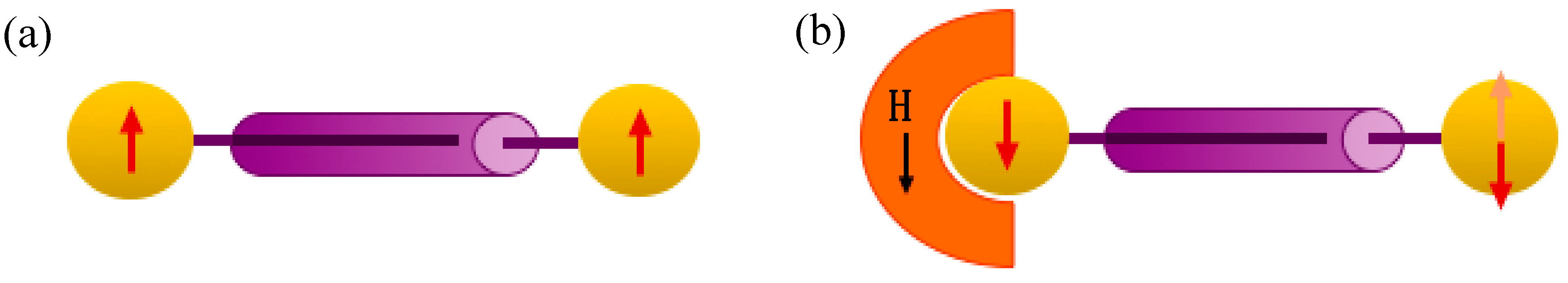 Magnetochemistry 06 00069 g005