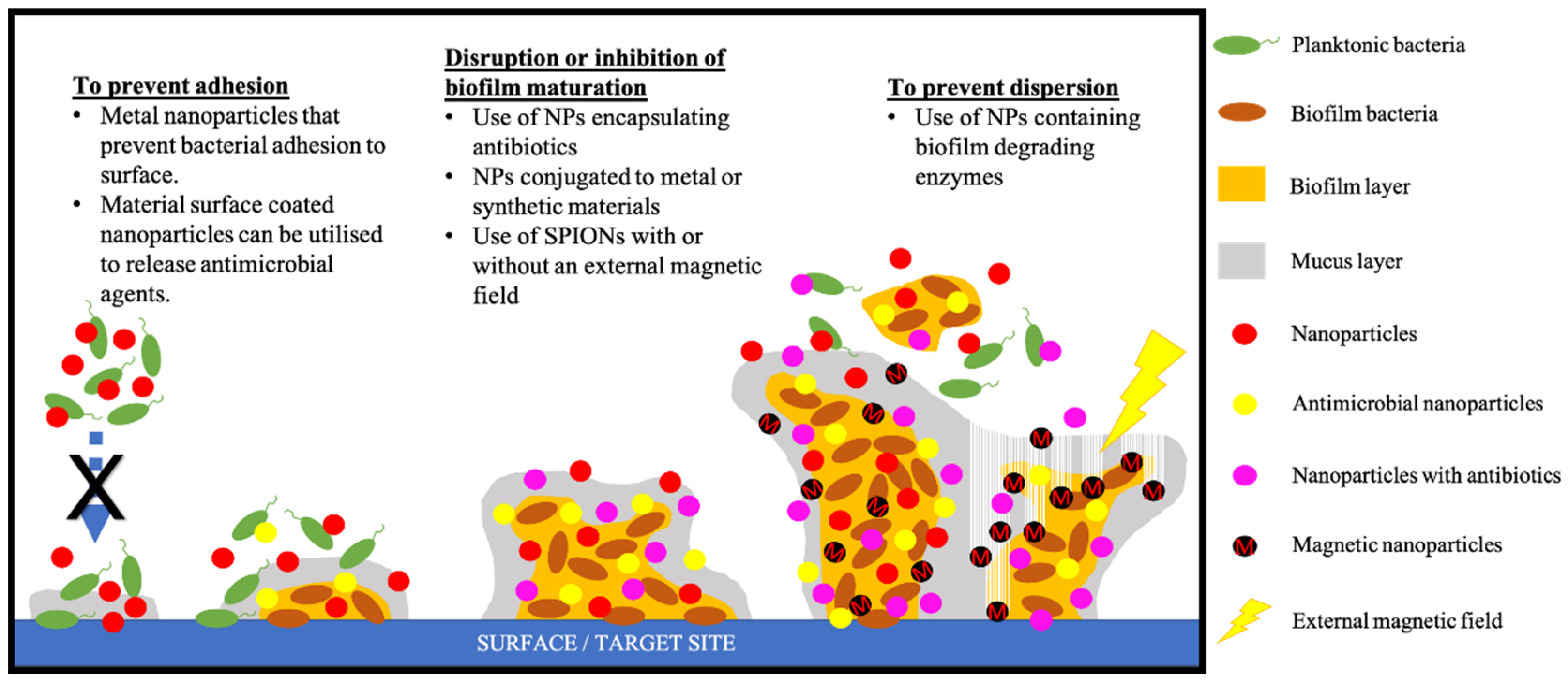 Magnetochemistry 06 00072 g003