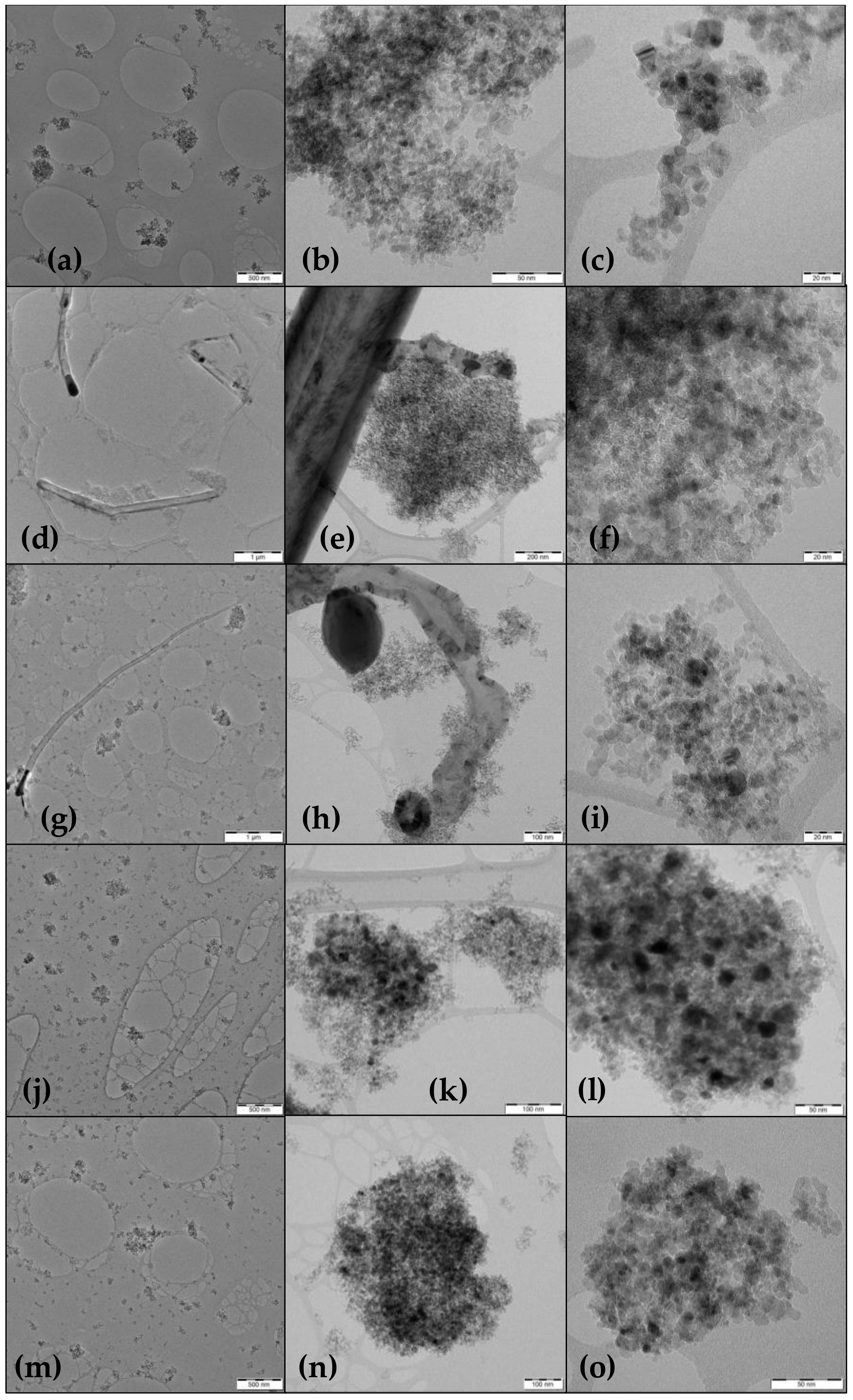 Magnetochemistry 06 00073 g003