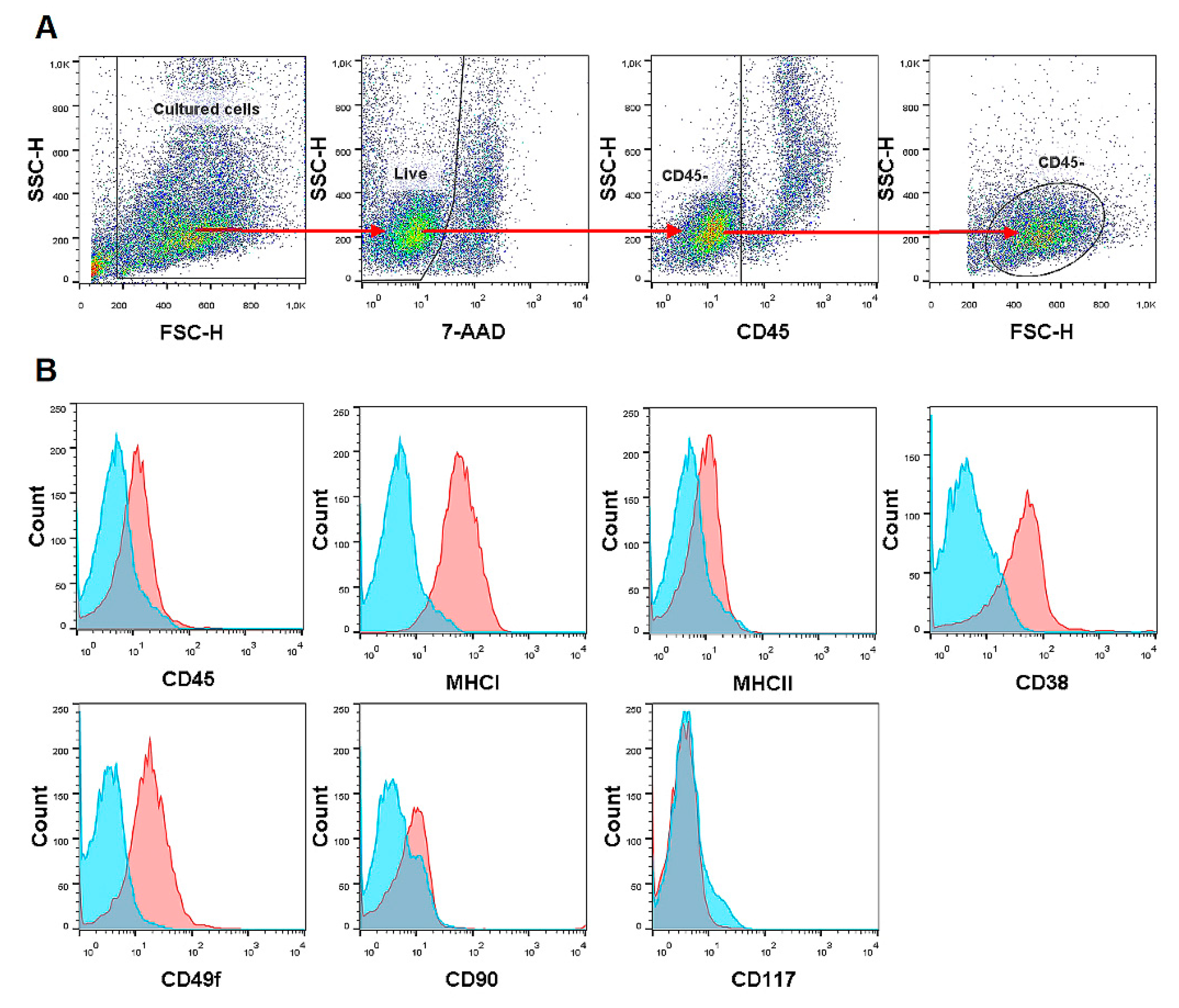 Magnetochemistry 07 00011 g004