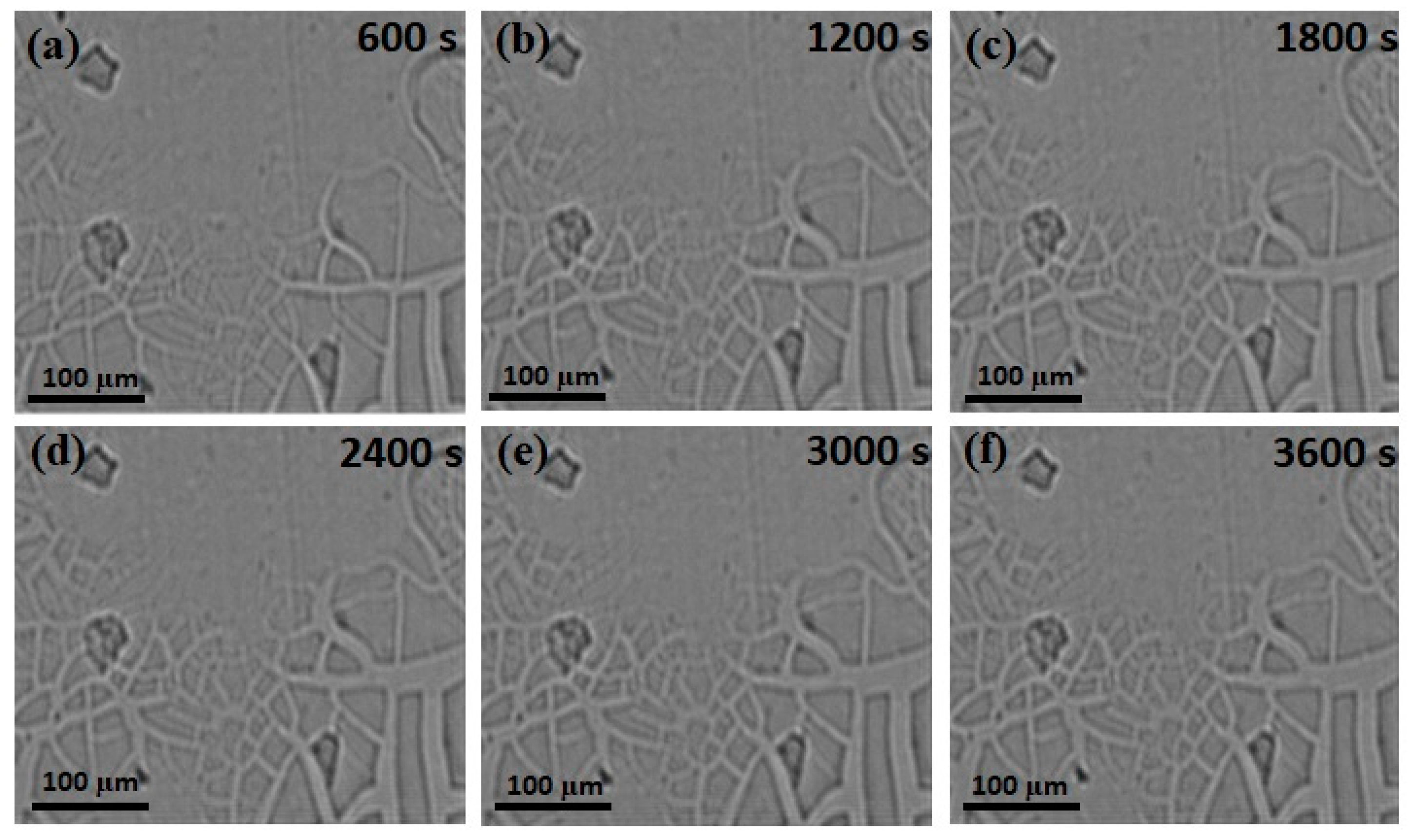 Magnetochemistry 07 00014 g005