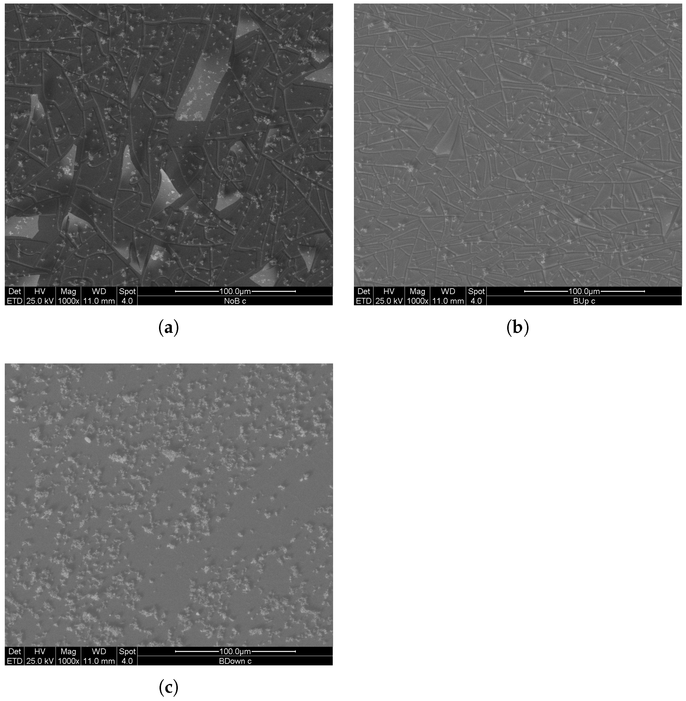Magnetochemistry 07 00019 g011