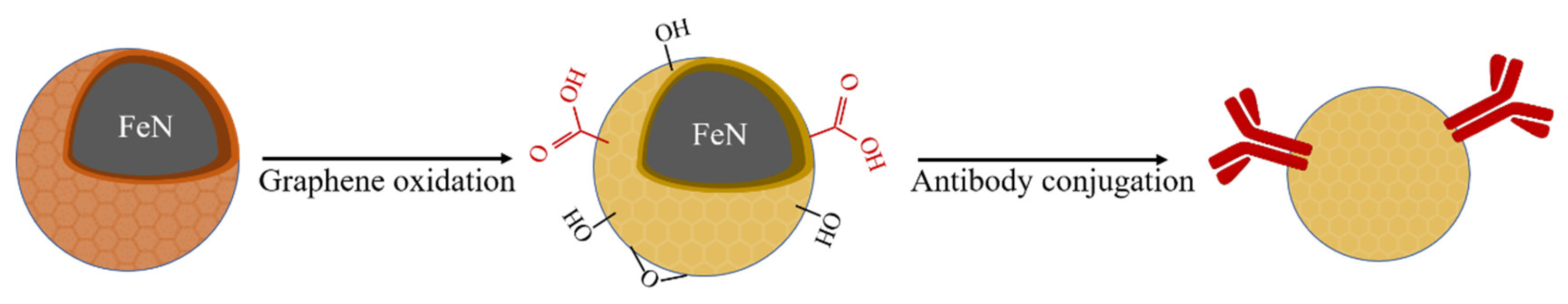 Magnetochemistry 07 00058 sch001