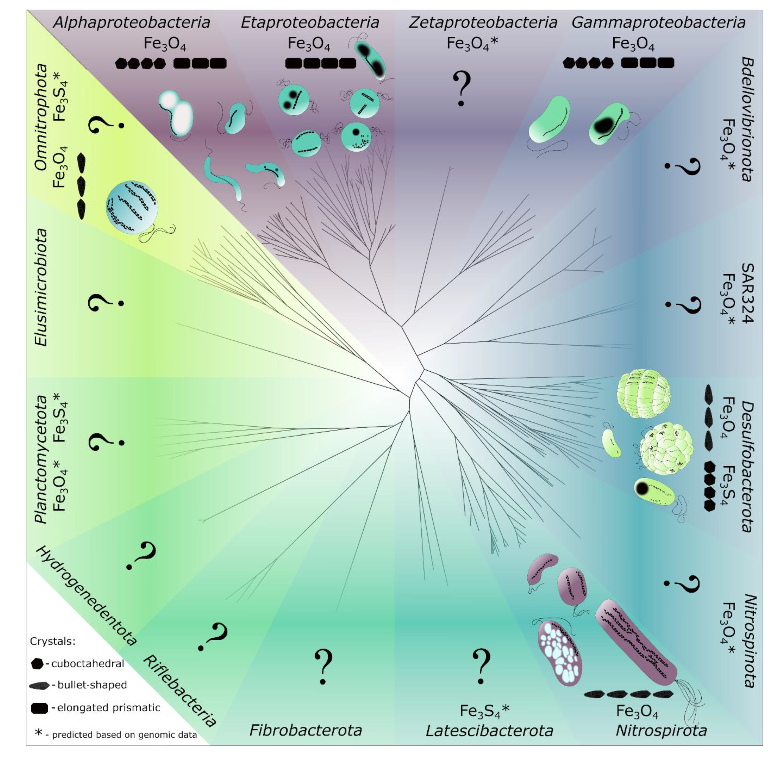 Magnetochemistry 07 00086 g002