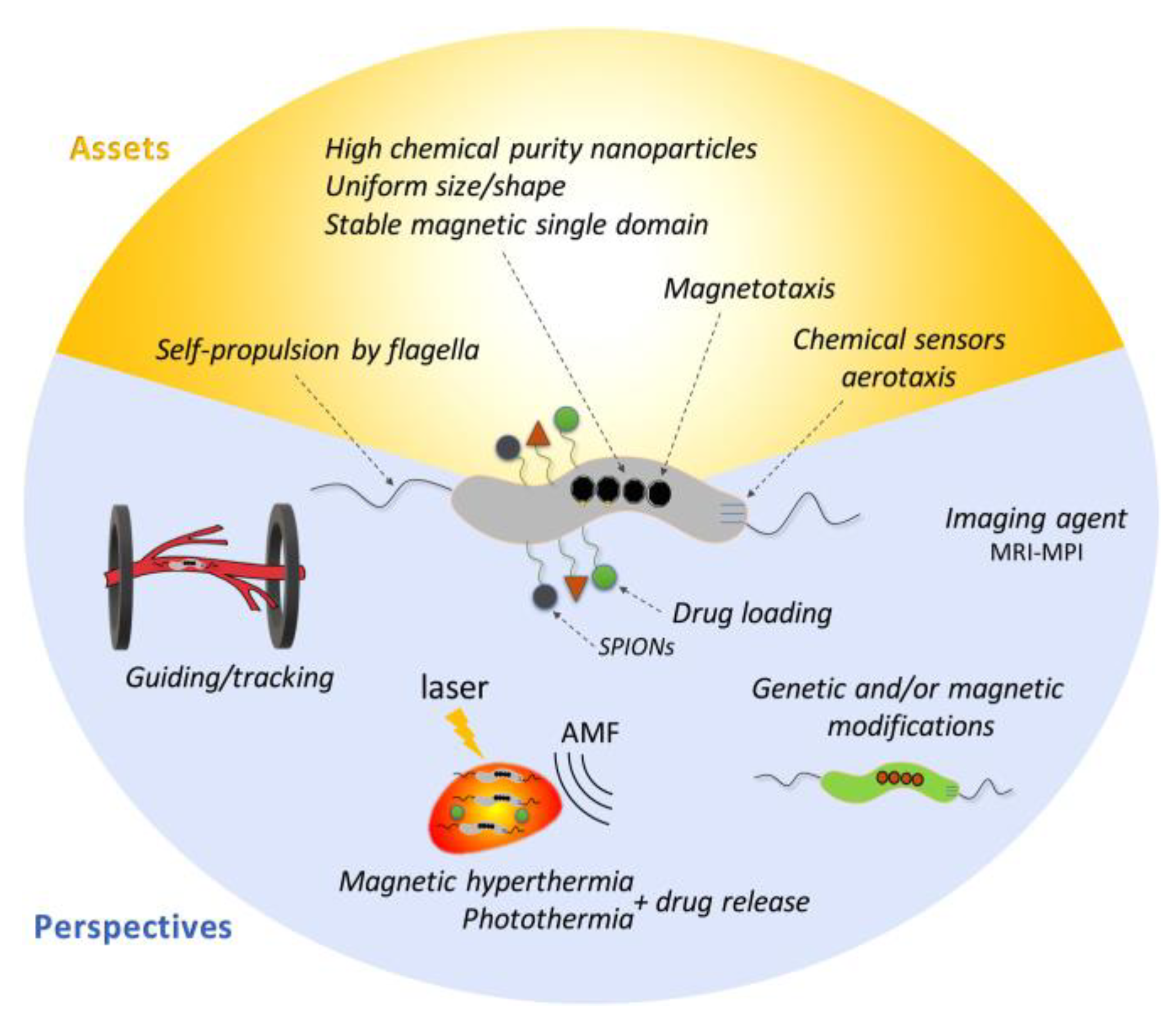 Magnetochemistry 07 00086 g006