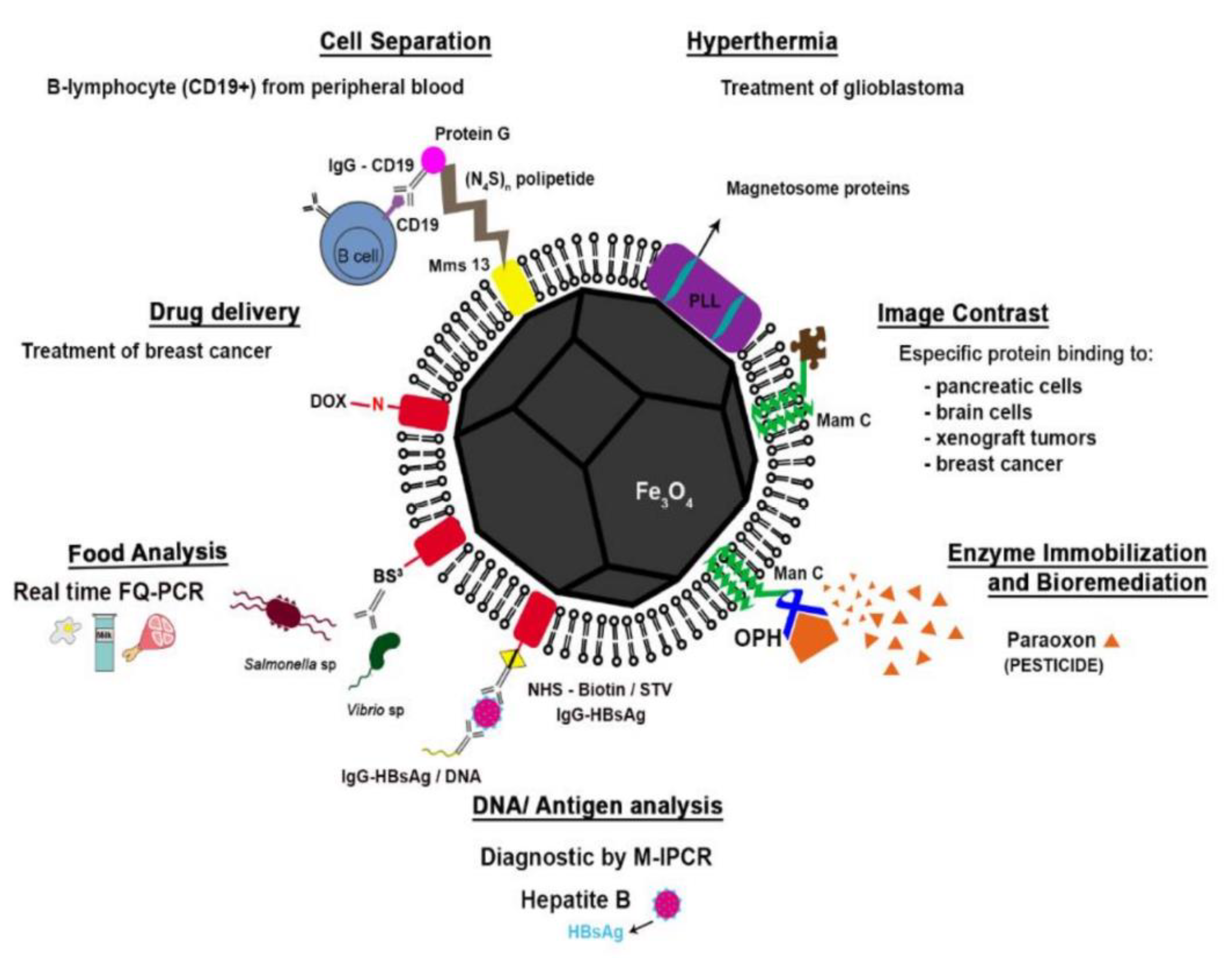 Magnetochemistry 07 00086 g007