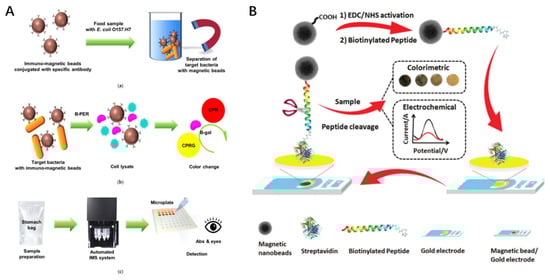 Magnetochemistry 07 00112 g001 550