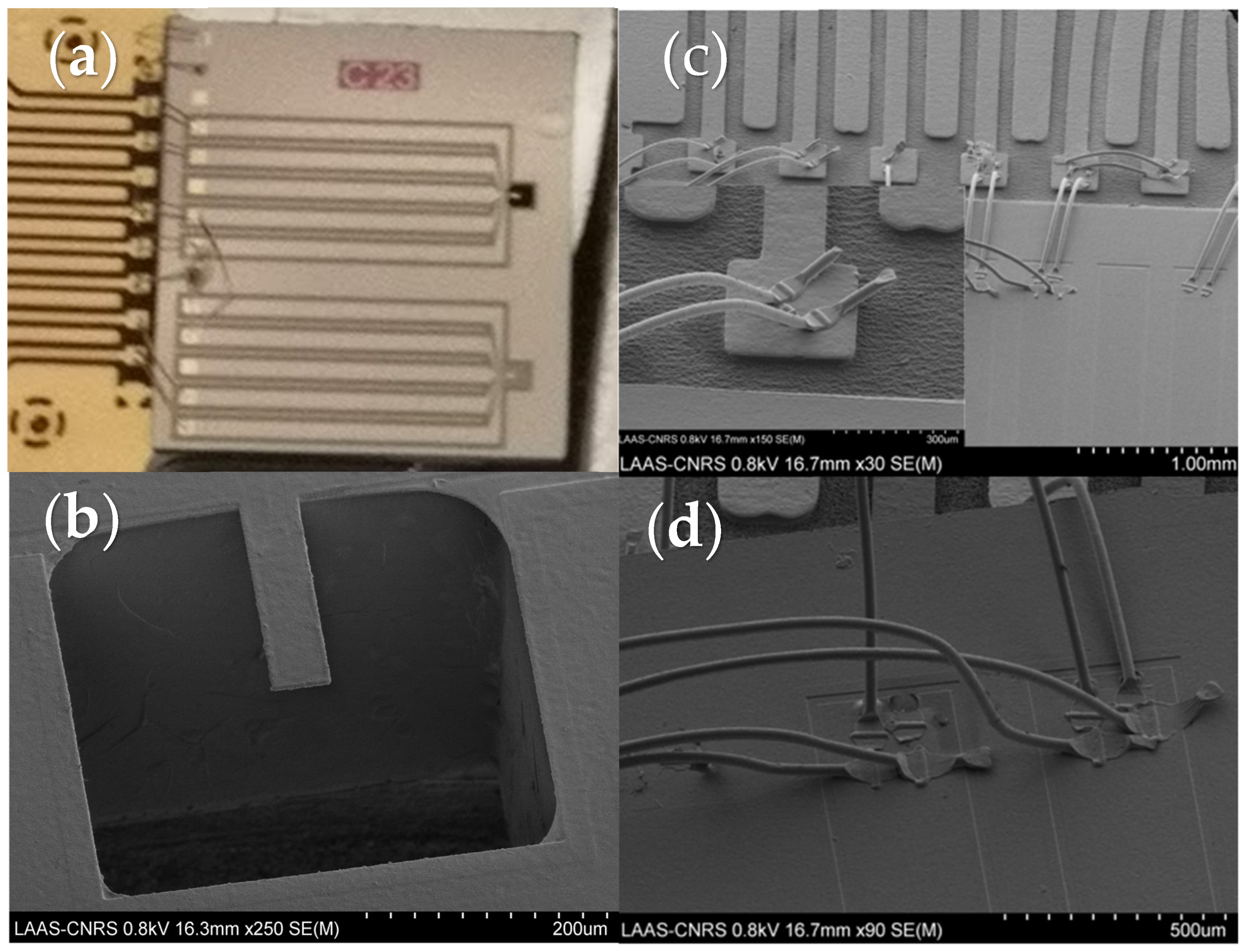 Magnetochemistry 07 00114 g001 Magnetochemistry 07 00114 g001