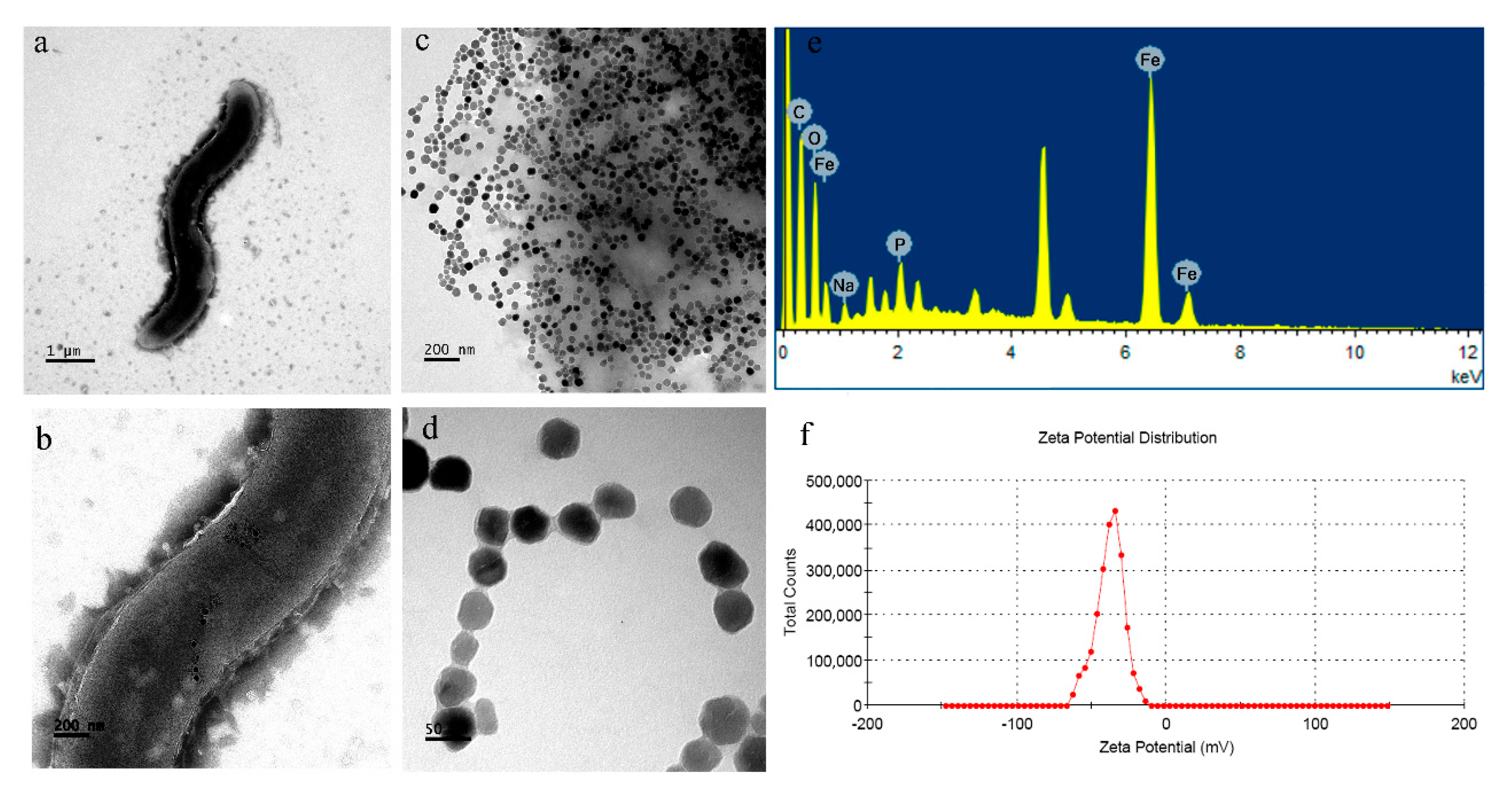 Magnetochemistry 07 00115 g003