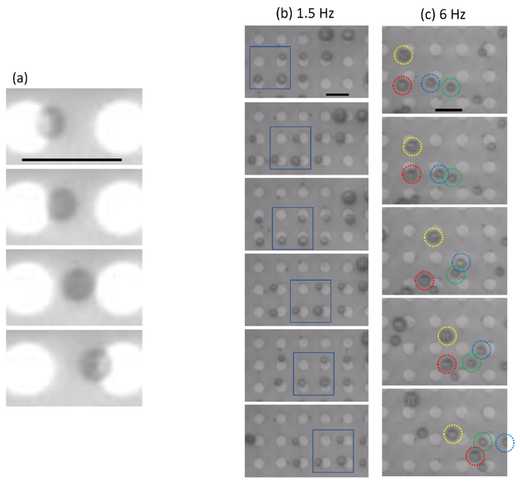 Magnetochemistry 07 00120 g002