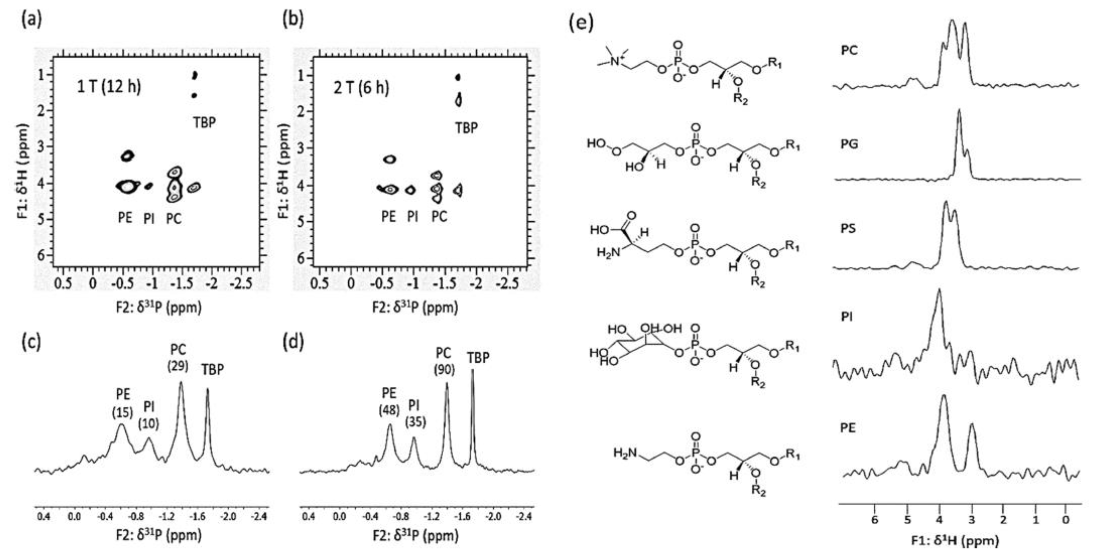 Magnetochemistry 07 00121 g013