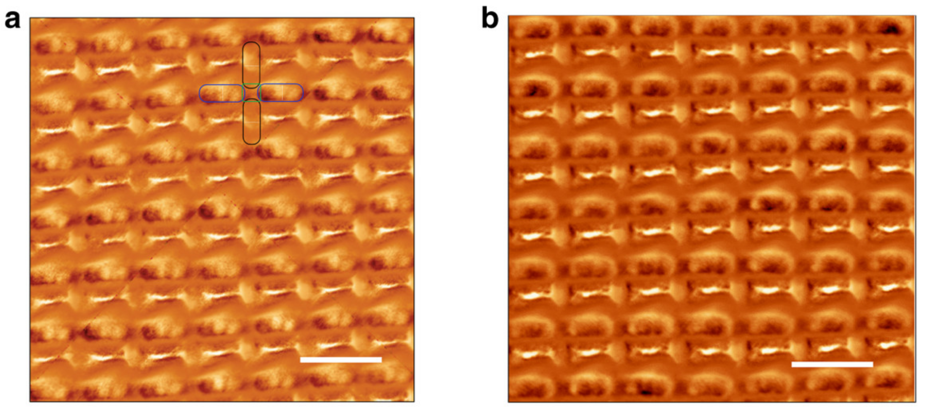 Magnetochemistry 07 00143 g003