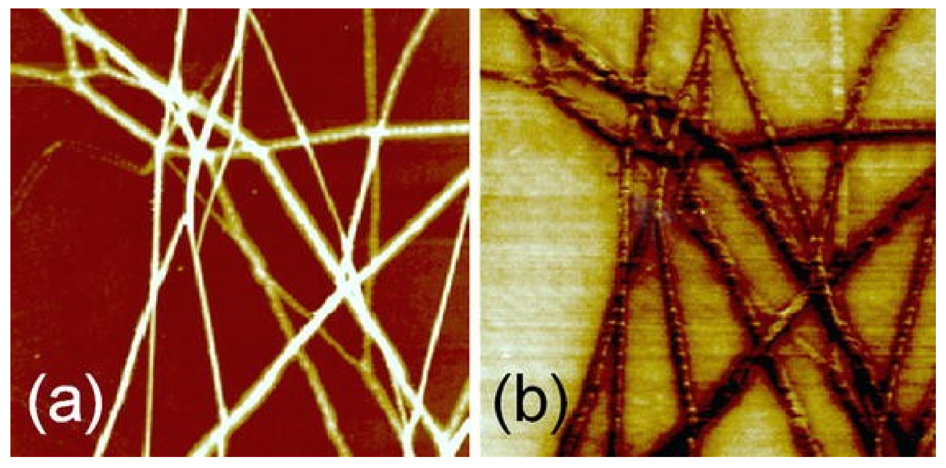 Magnetochemistry 07 00143 g008