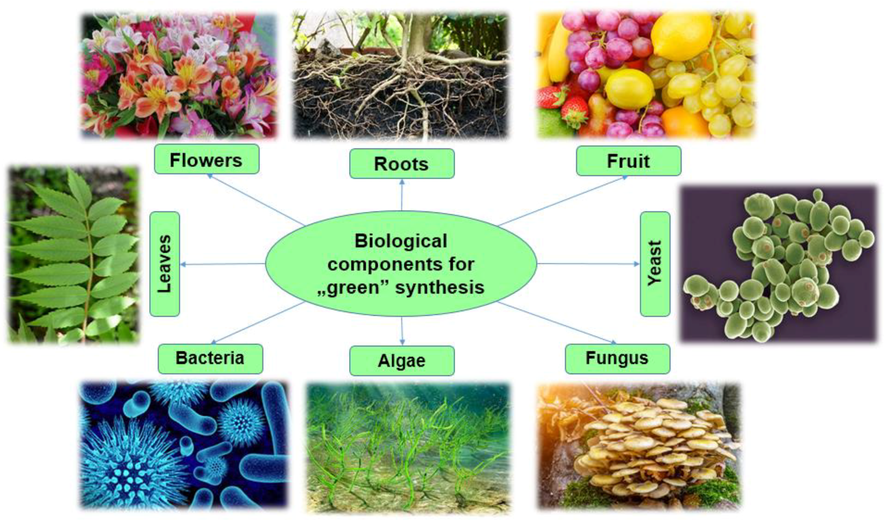 Magnetochemistry 07 00145 g003
