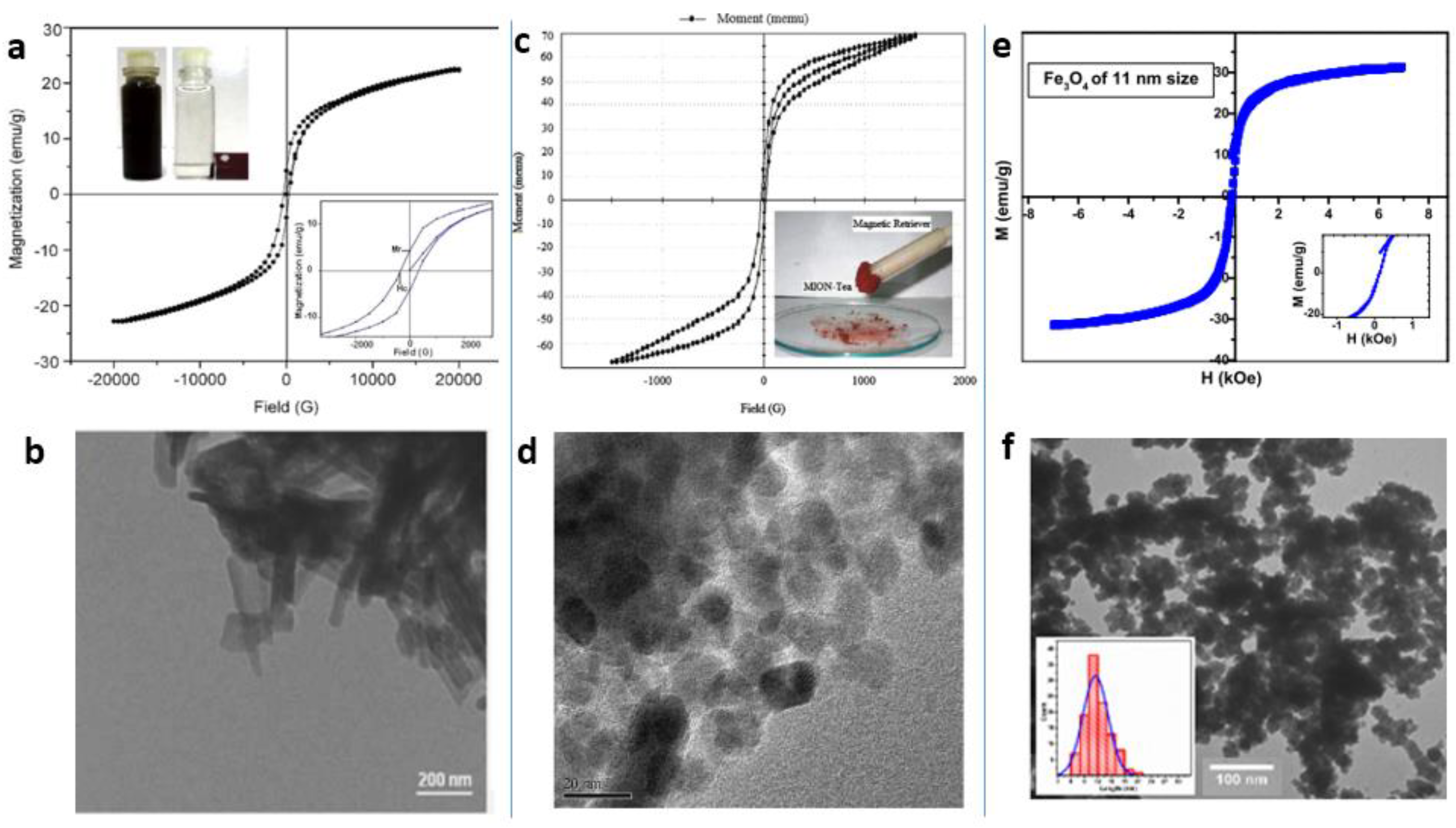 Magnetochemistry 07 00145 g006