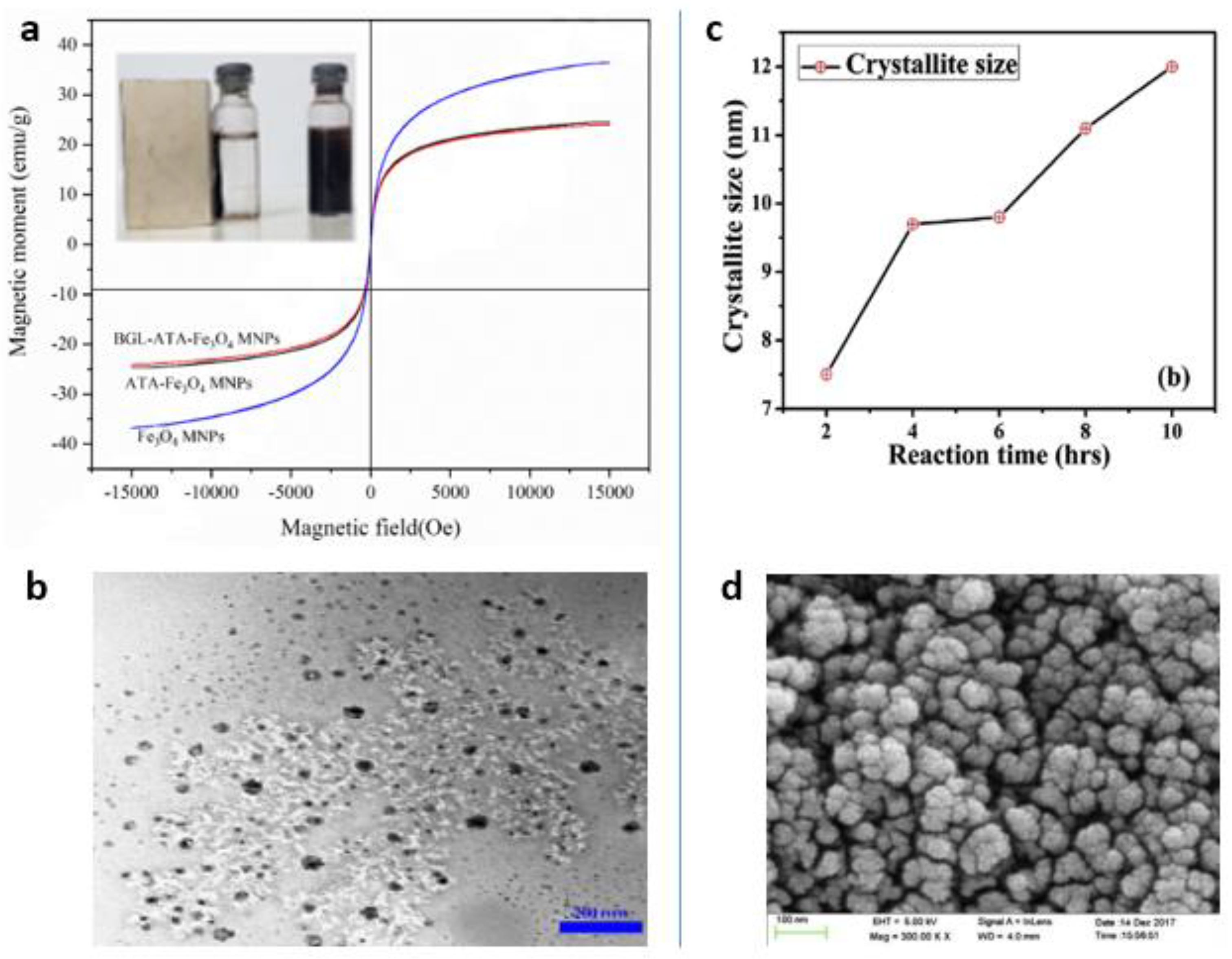 Magnetochemistry 07 00145 g008