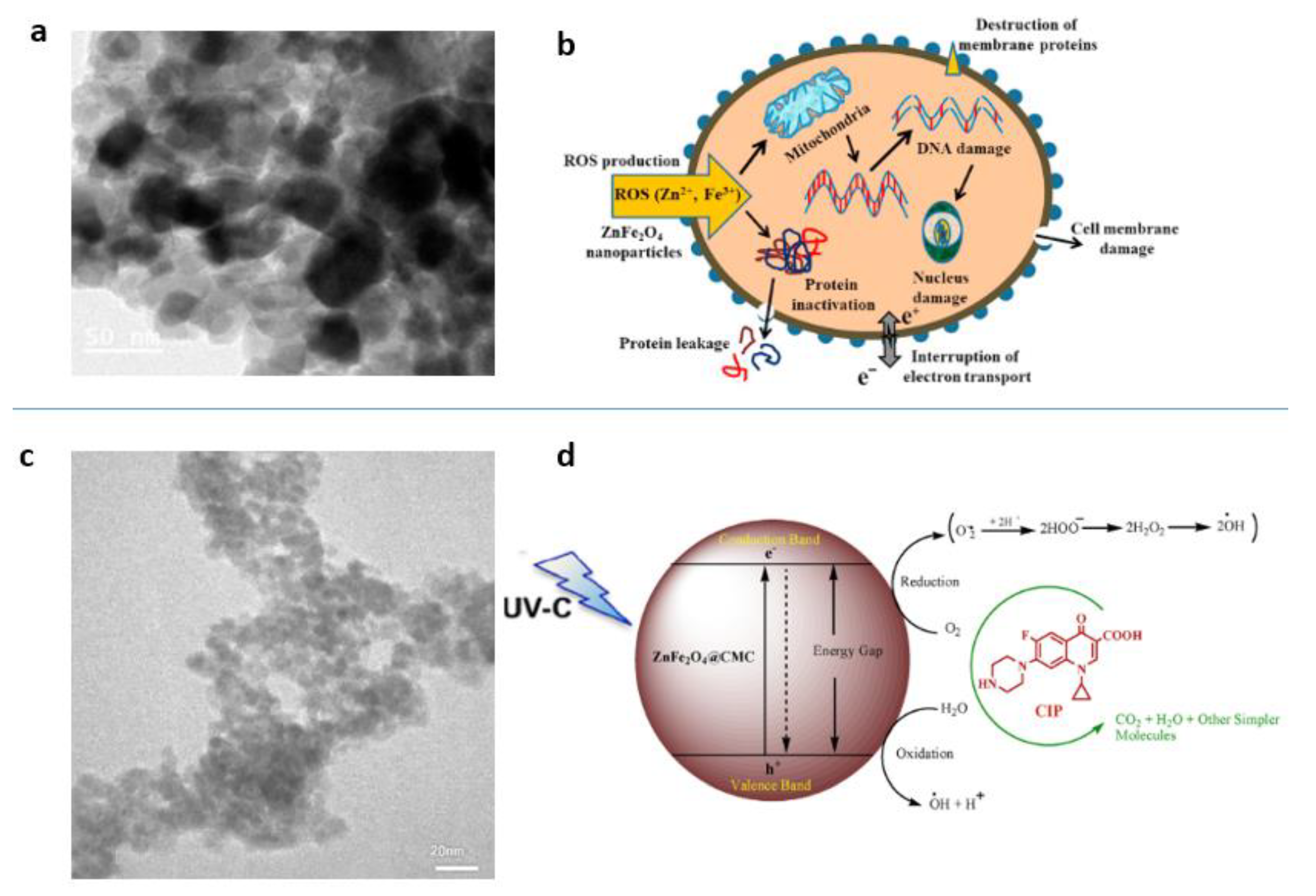 Magnetochemistry 07 00145 g009