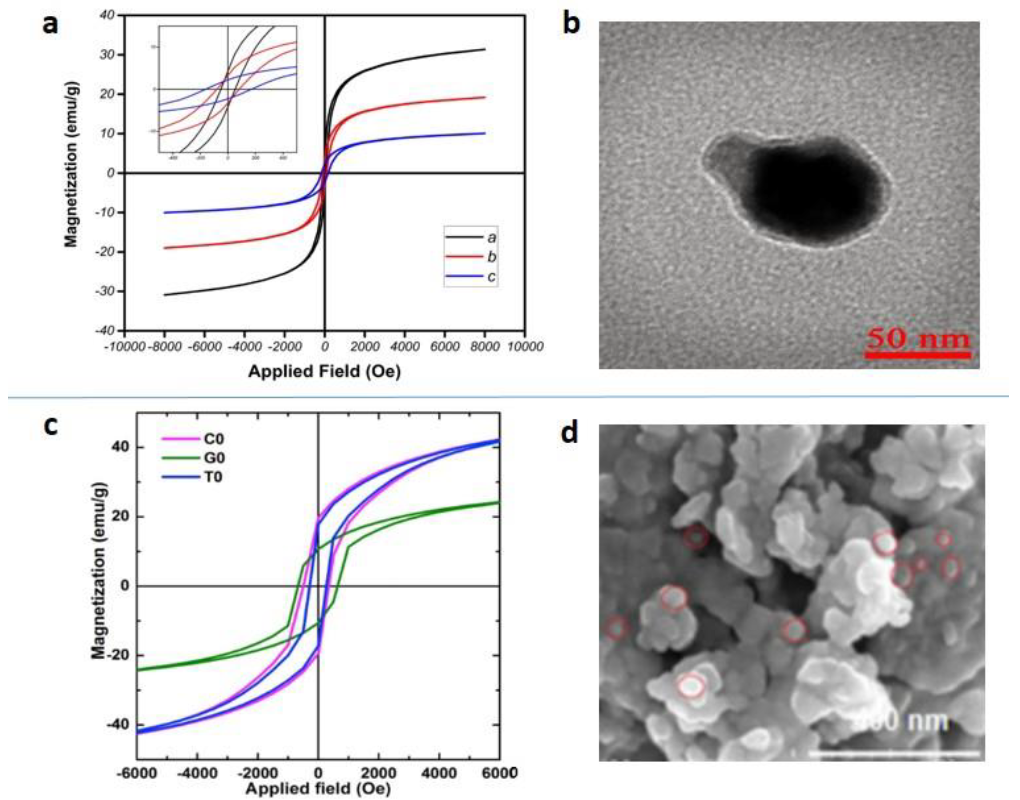 Magnetochemistry 07 00145 g010