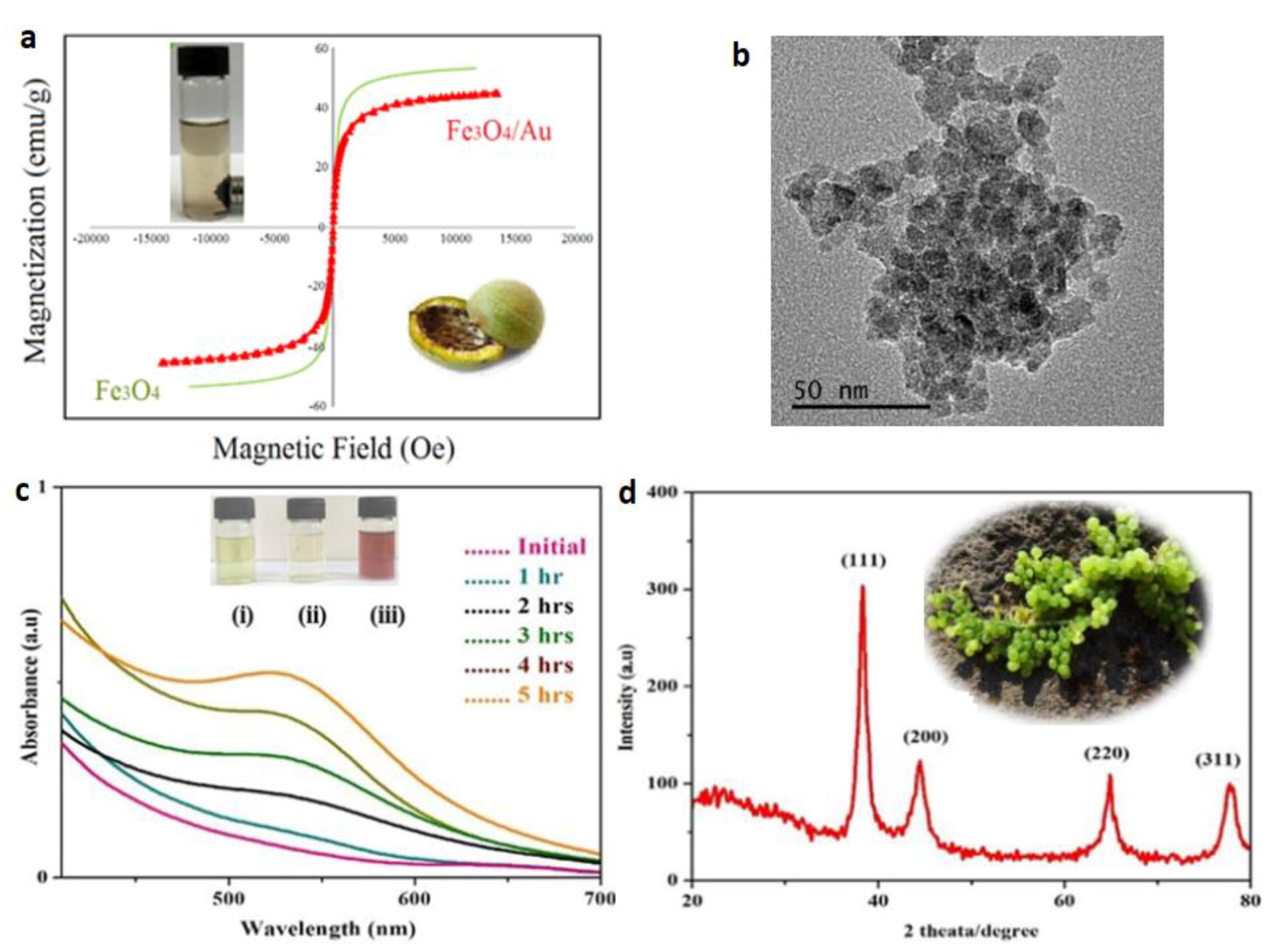 Magnetochemistry 07 00145 g013