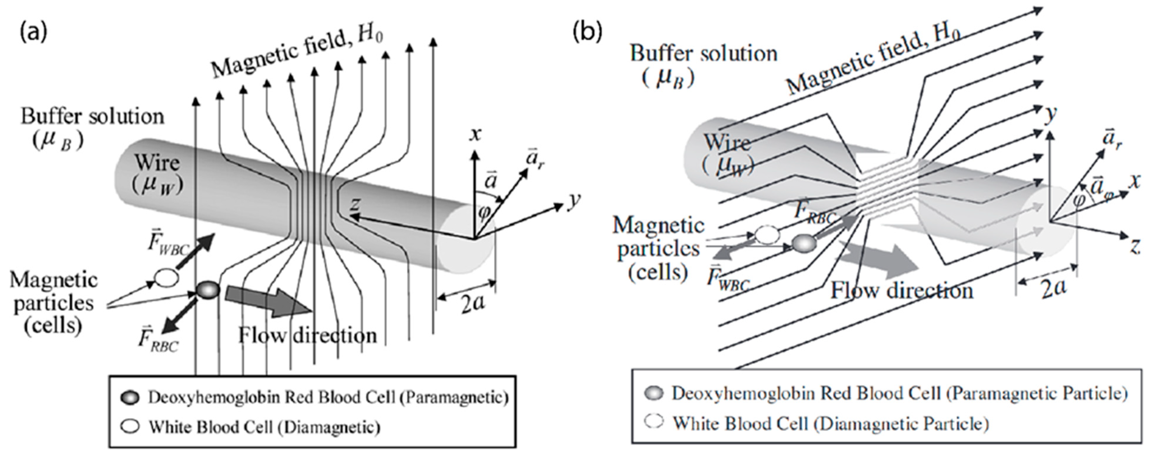 Magnetochemistry 08 00010 g002 Magnetochemistry 08 00010 g002
